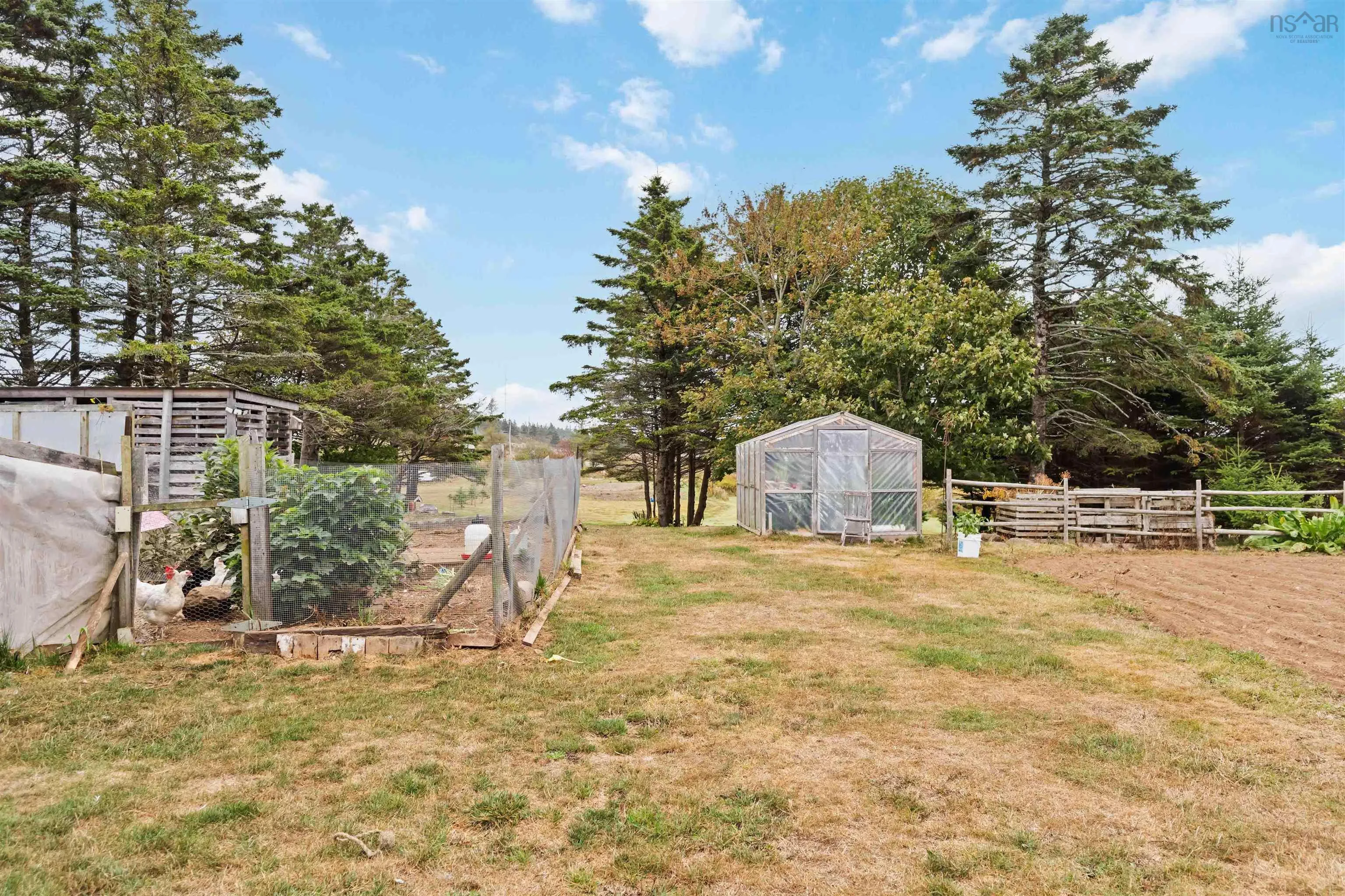 31 Overcove Road, Freeport, NS B0V 1B0, 3 Bedrooms Bedrooms, ,1 BathroomBathrooms,Residential,For Sale,Overcove,202525434