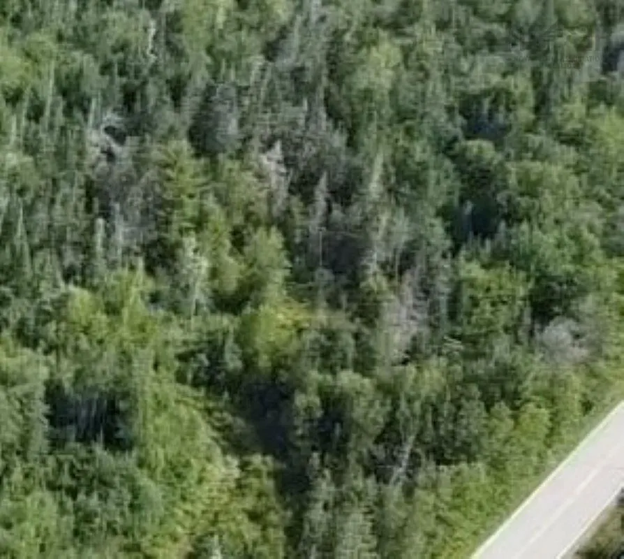 Lot Rockland Road, Rockland, NS B0T 1V0, ,Land,For Sale,Rockland Road,202518181