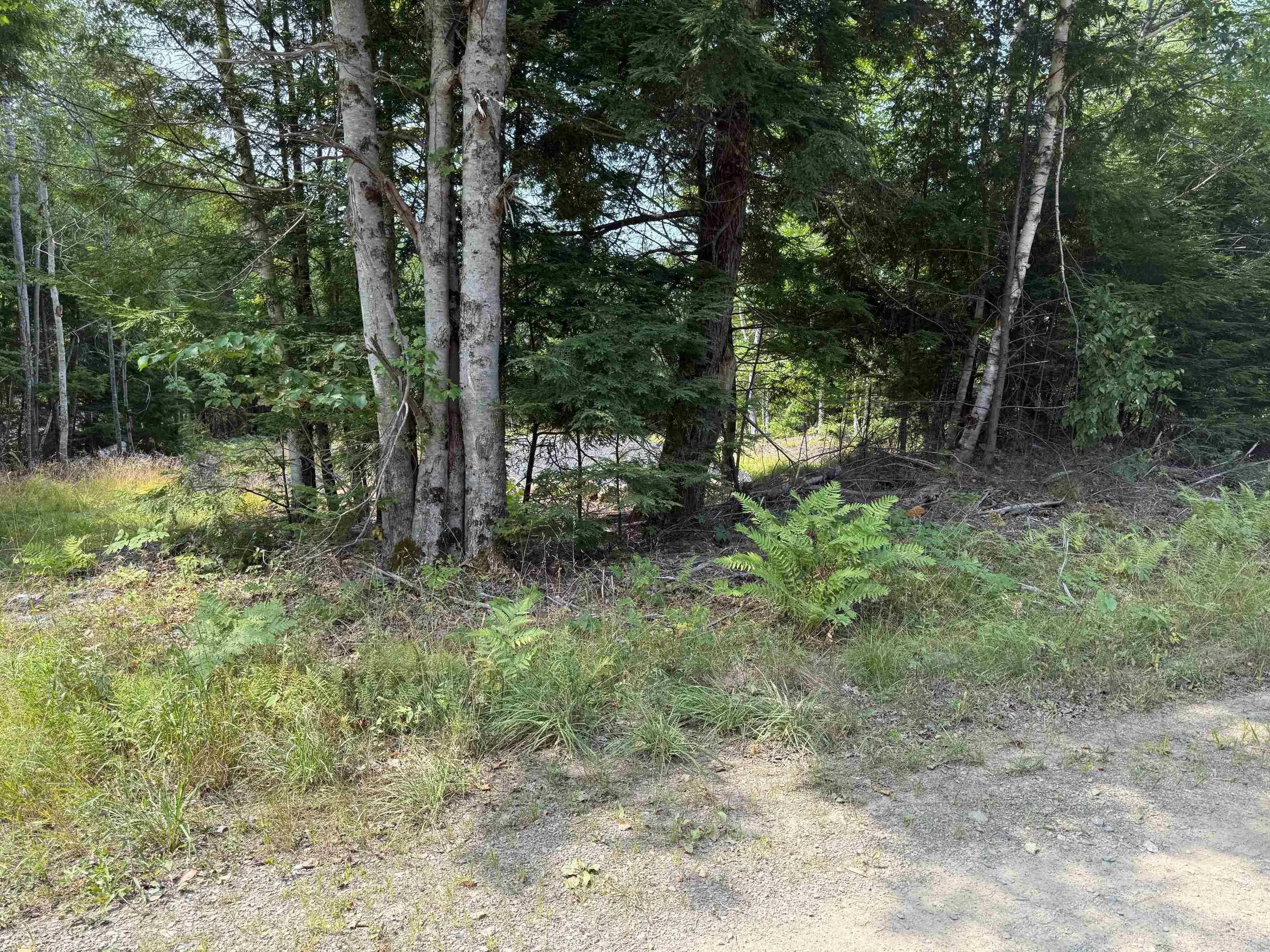 Dauphinee Road, Cookville, NS B4V 7R7, ,Land,For Sale,Pid#60724341 Dauphinee,202520118