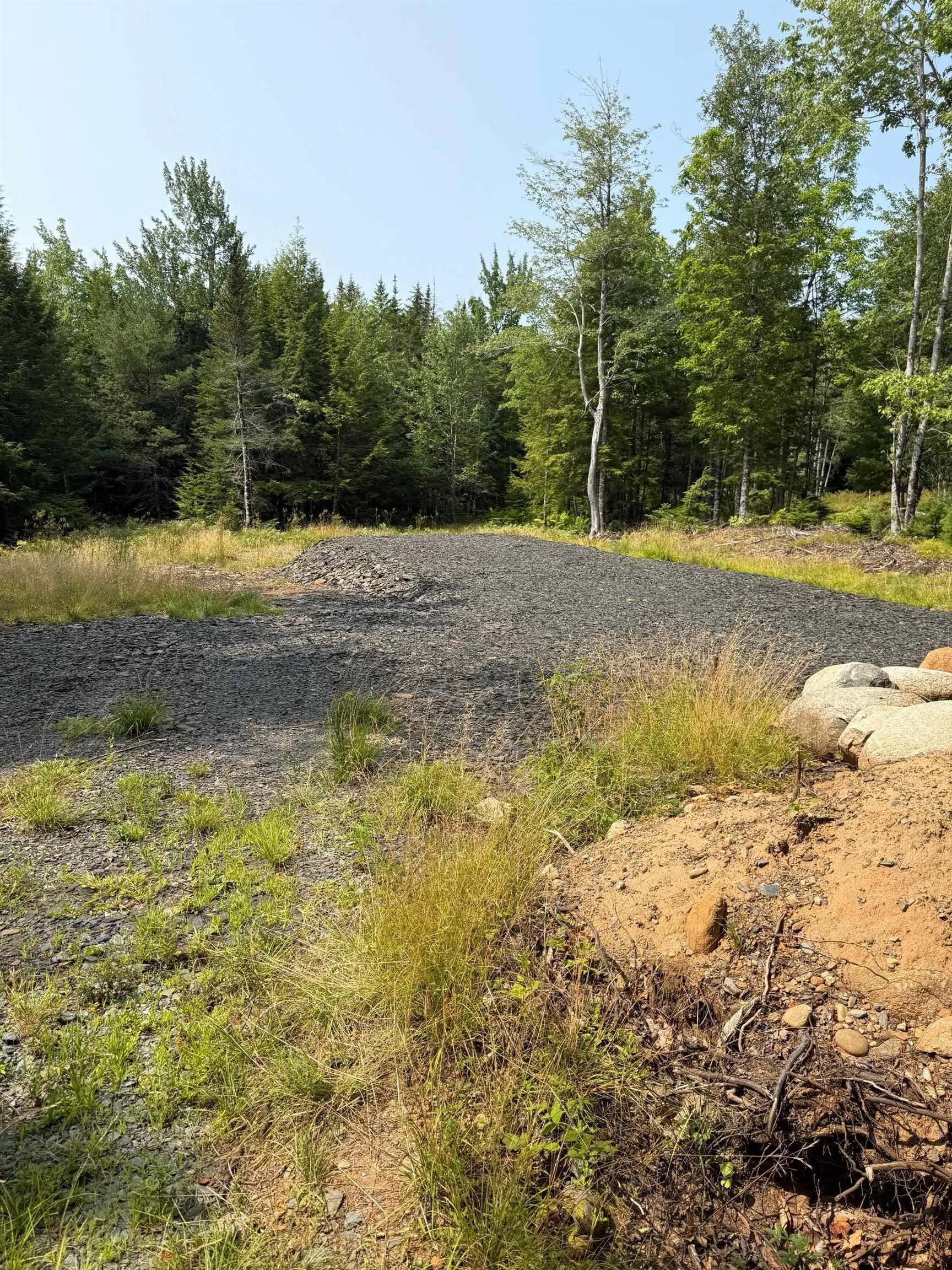 Dauphinee Road, Cookville, NS B4V 7R7, ,Land,For Sale,Pid#60724341 Dauphinee,202520118