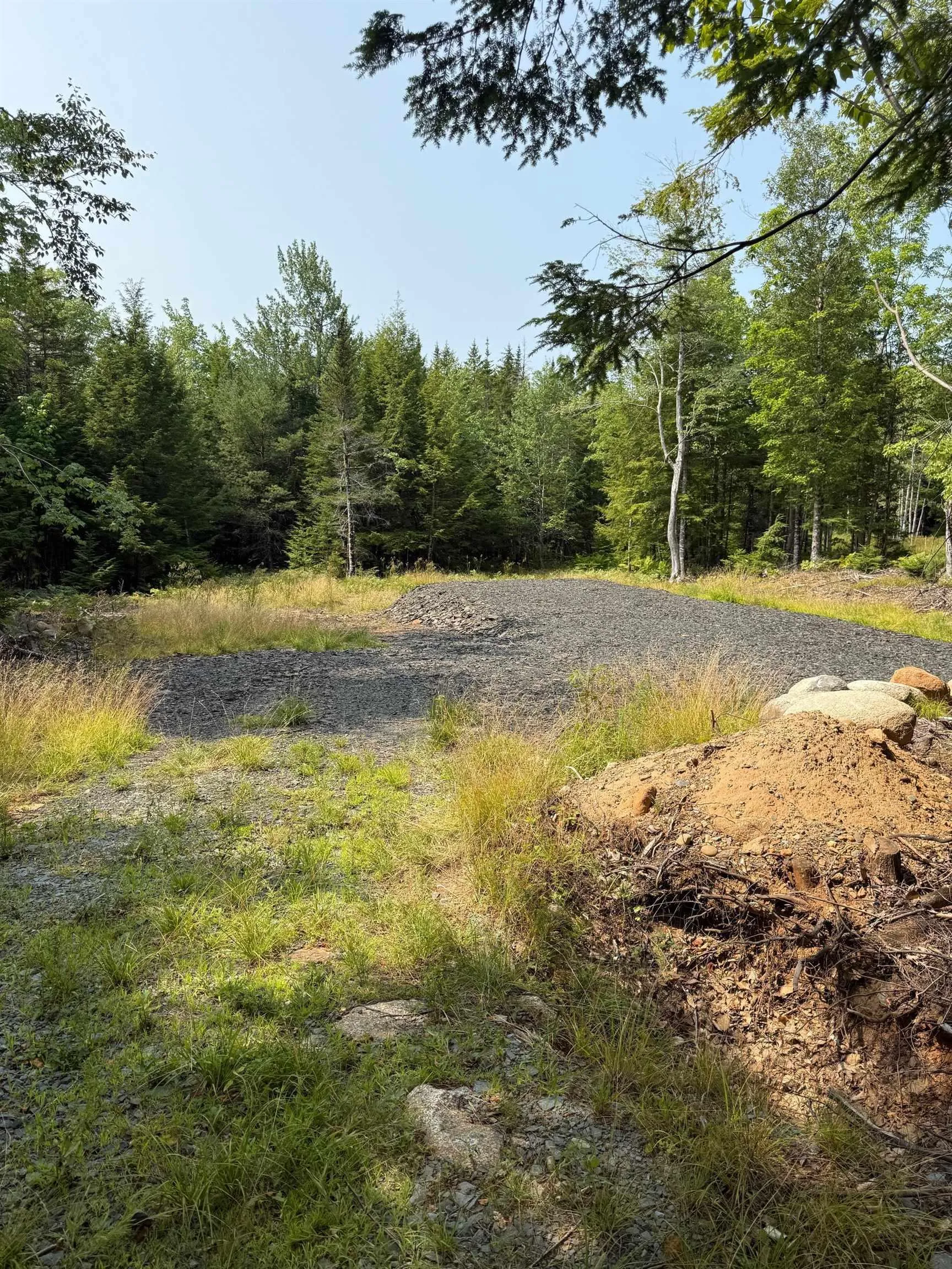 Dauphinee Road, Cookville, NS B4V 7R7, ,Land,For Sale,Pid#60724341 Dauphinee,202520118