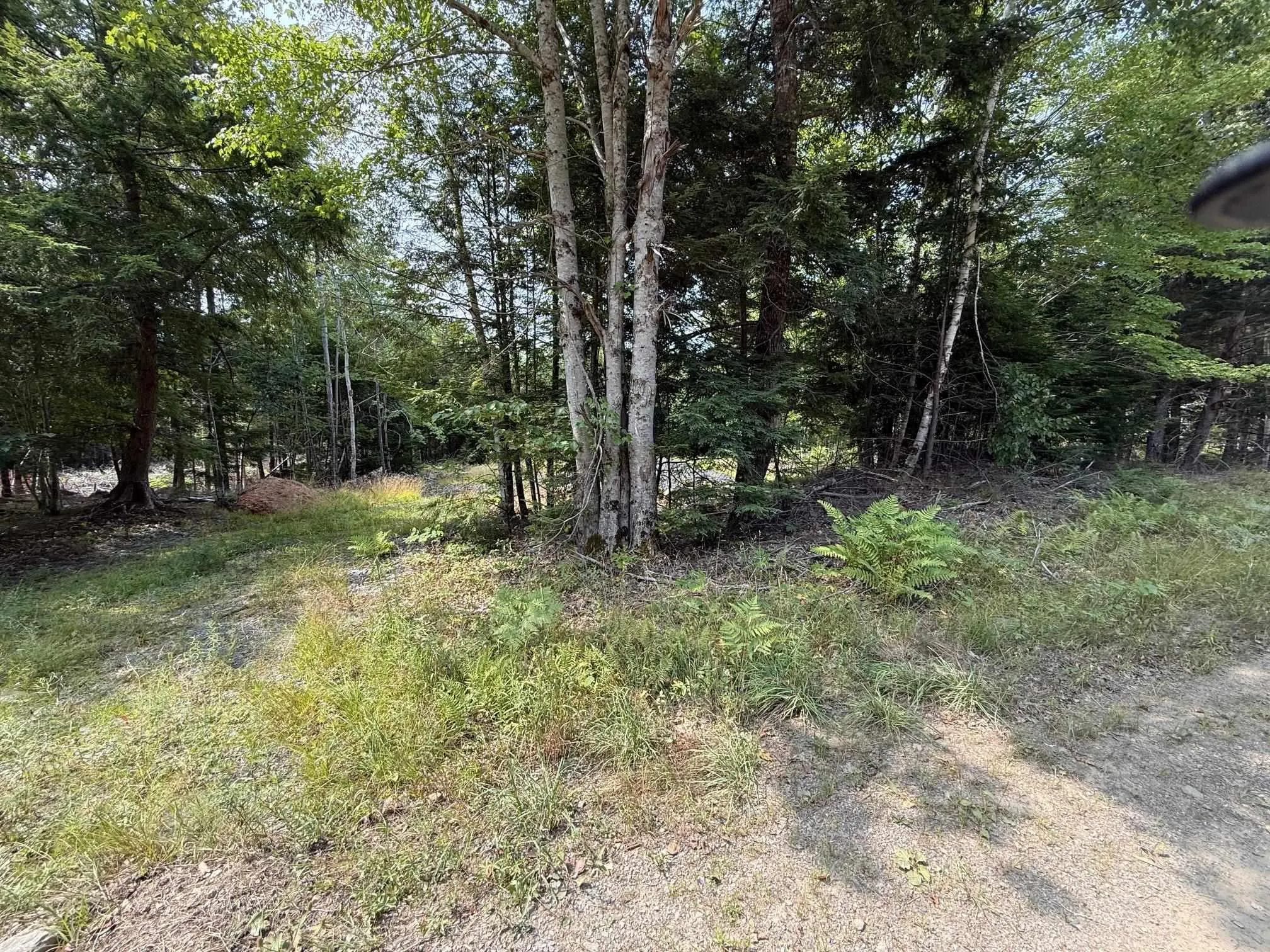 Dauphinee Road, Cookville, NS B4V 7R7, ,Land,For Sale,Pid#60724341 Dauphinee,202520118