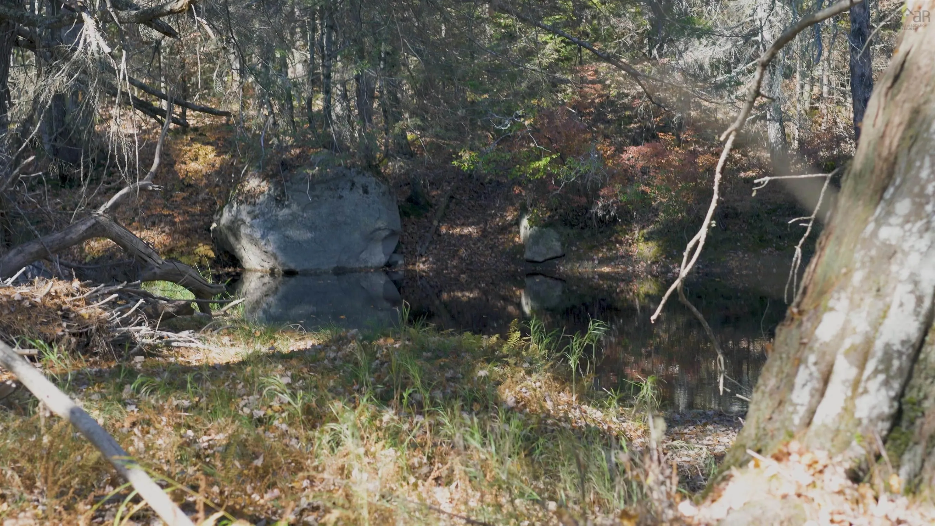 Maple Drive Lot 3, Lower Ohio Ns B0t 1w0, ,Land,For Sale,Maple,202508664