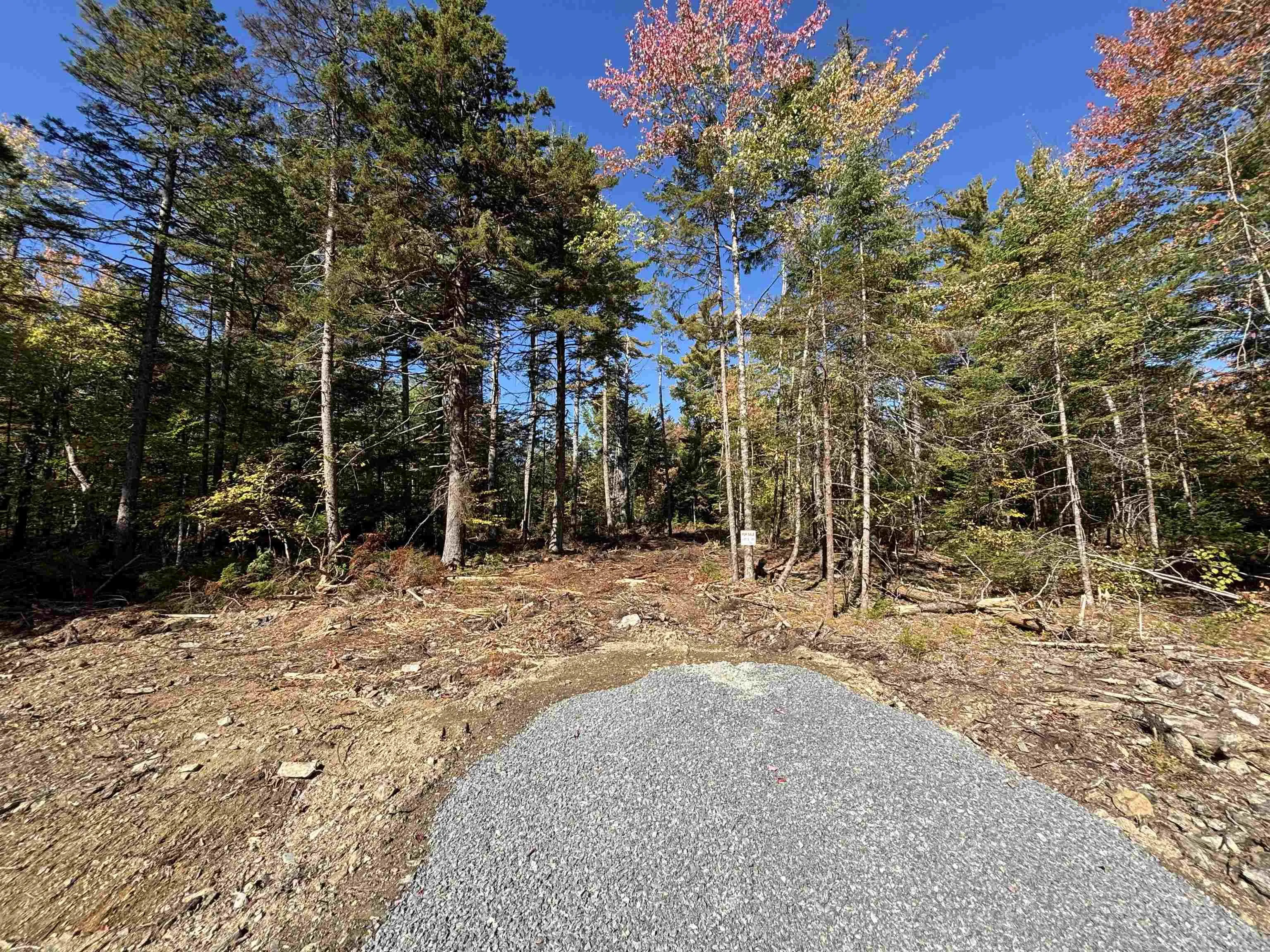 Highway 325 Lot 23, West Clifford, NS B4V 8H3, ,Land,For Sale,Highway 325,202524864
