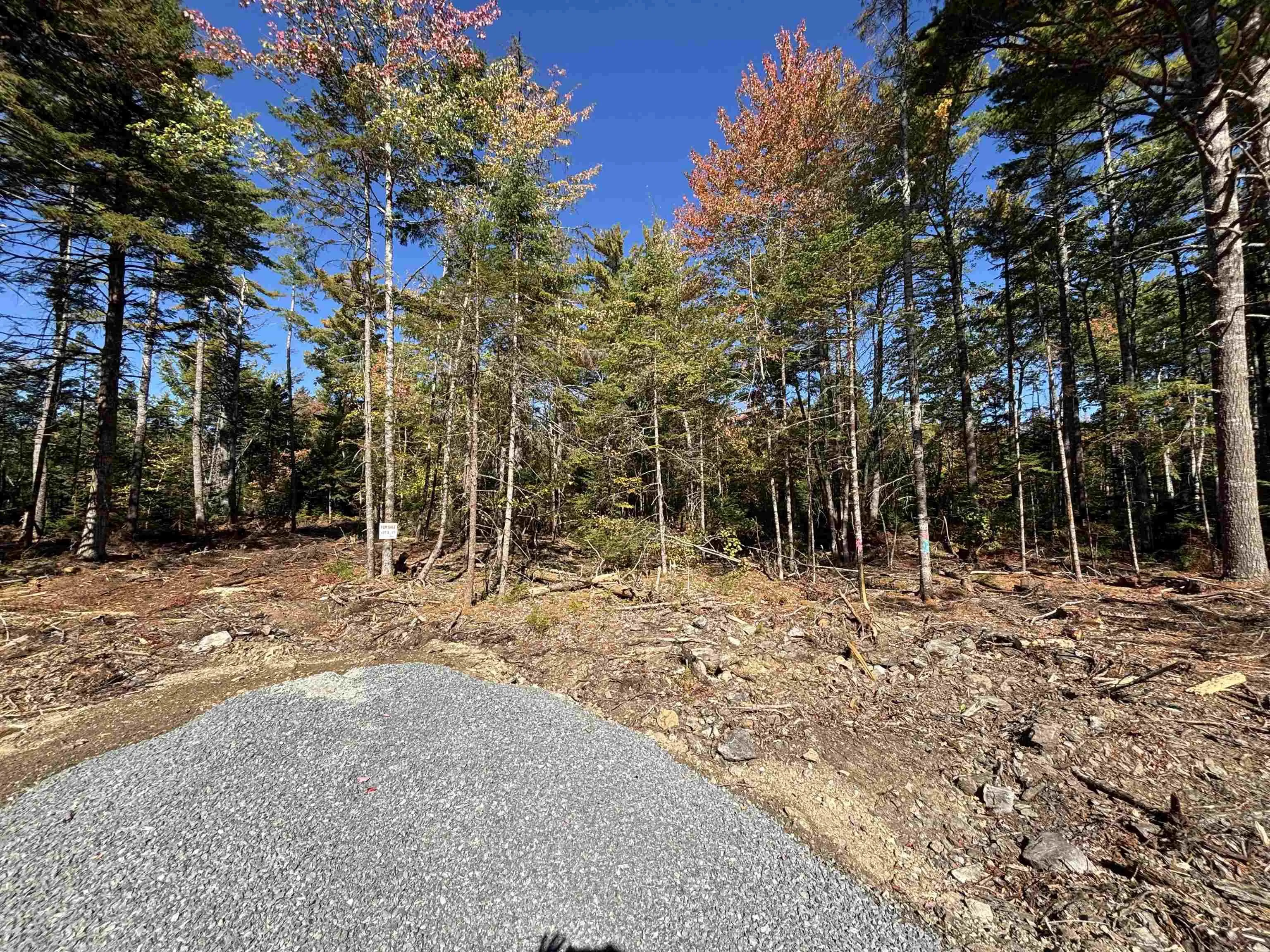 Highway 325 Lot 23, West Clifford, NS B4V 8H3, ,Land,For Sale,Highway 325,202524864
