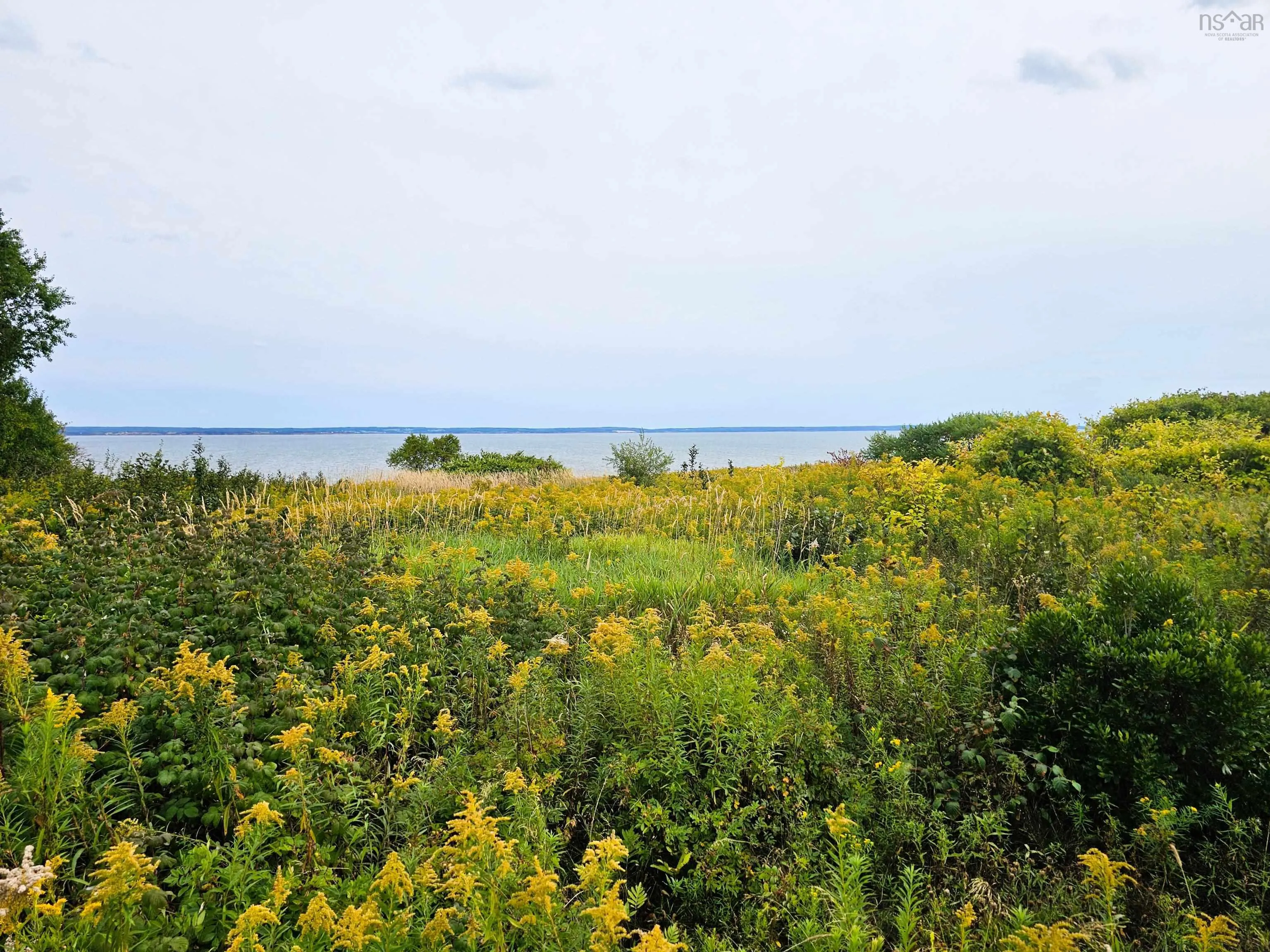 4614 Highway 2, Upper Economy, NS B0M 1B0, ,Land,For Sale,Highway 2,202522123