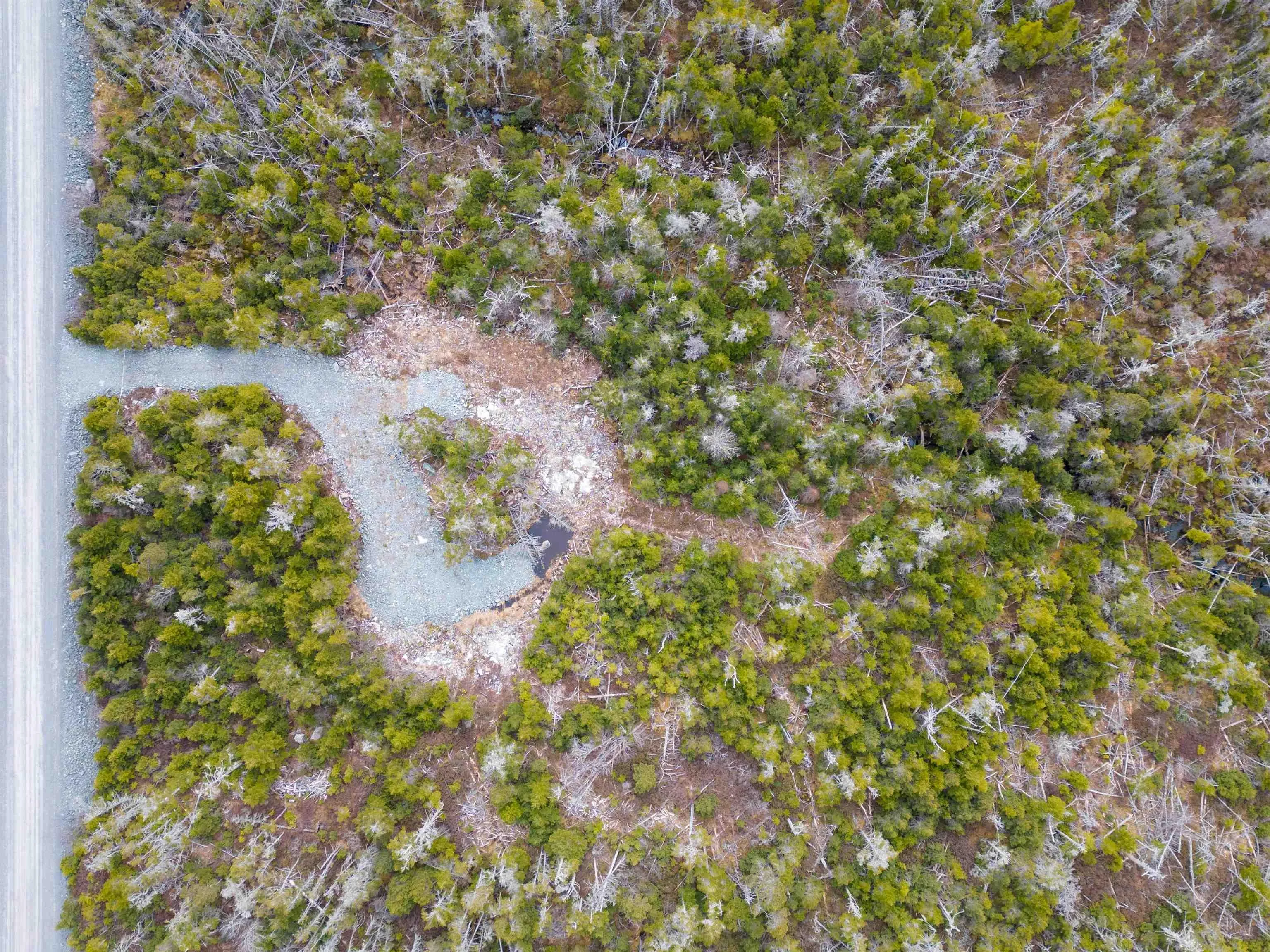 384 Owl Drive, East Petpeswick Ns B0j 2l0, ,Land,For Sale,Owl,202406963