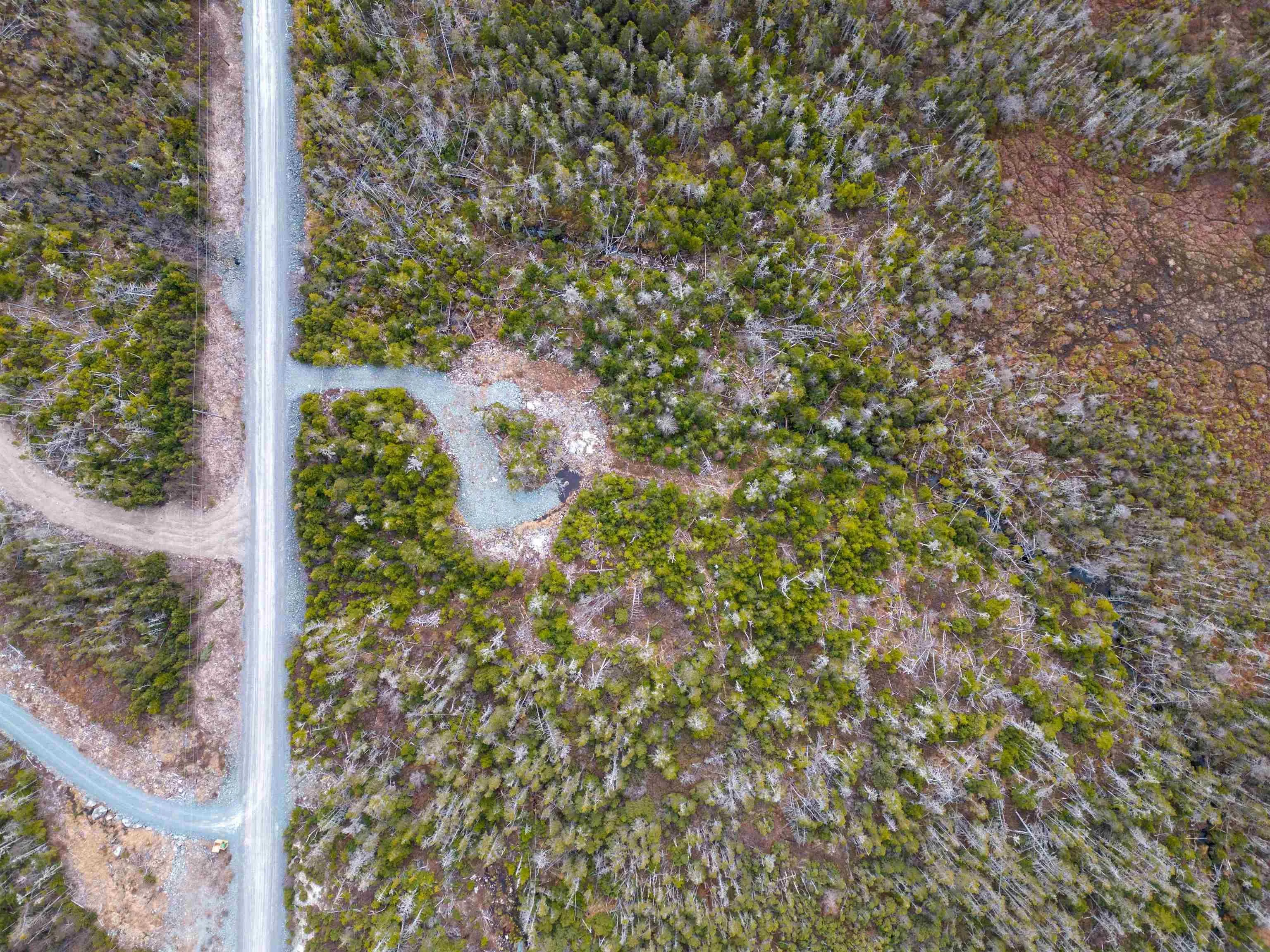 384 Owl Drive, East Petpeswick Ns B0j 2l0, ,Land,For Sale,Owl,202406963