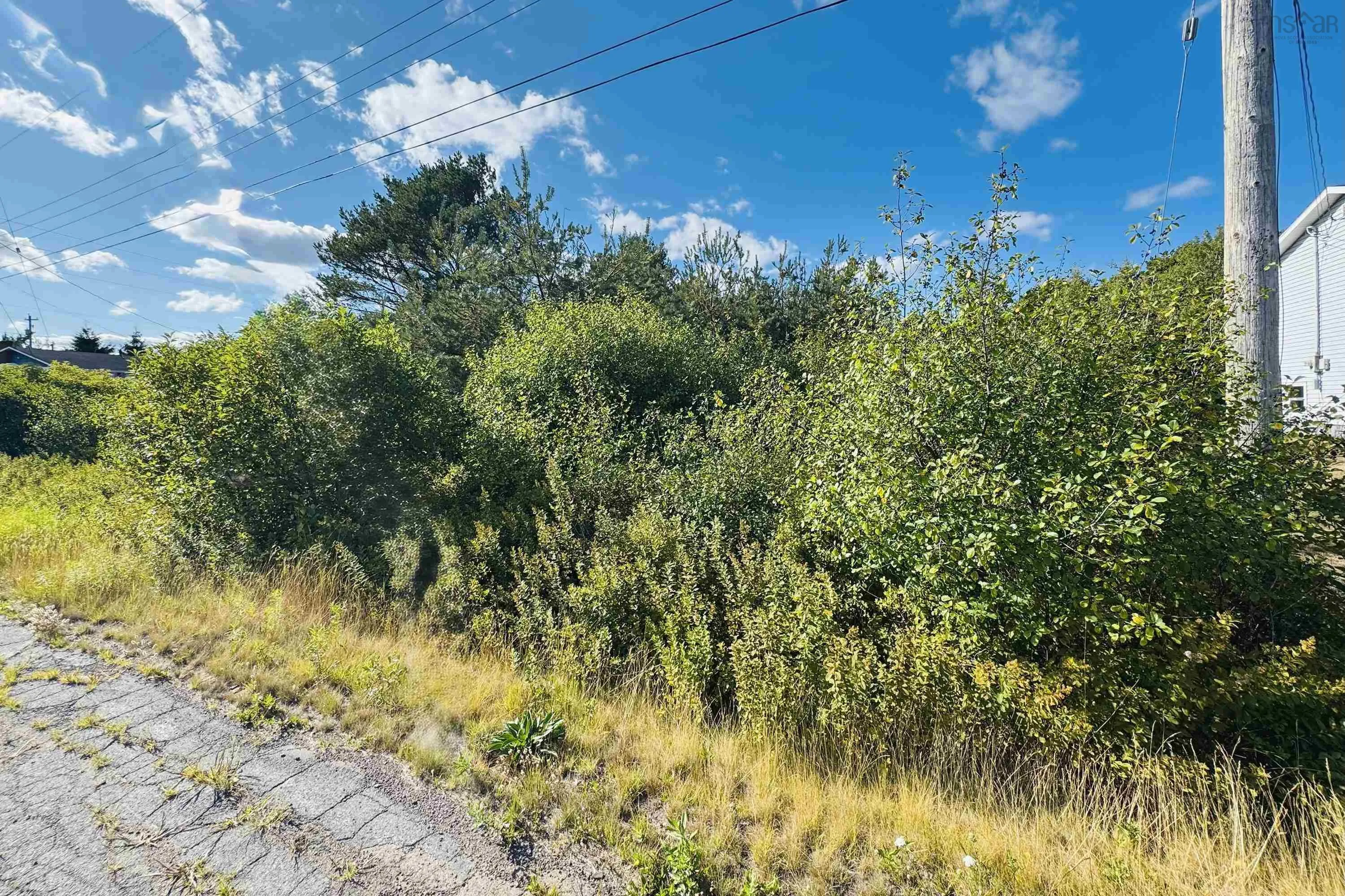 6 Sargent Avenue, Parrsboro, NS B0M 1S0, ,Land,For Sale,Sargent,202520992