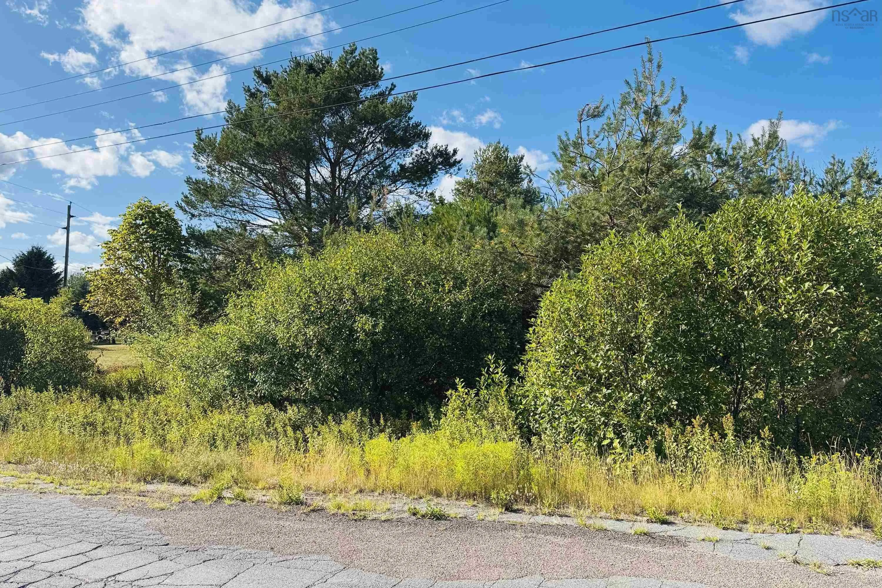 6 Sargent Avenue, Parrsboro, NS B0M 1S0, ,Land,For Sale,Sargent,202520992