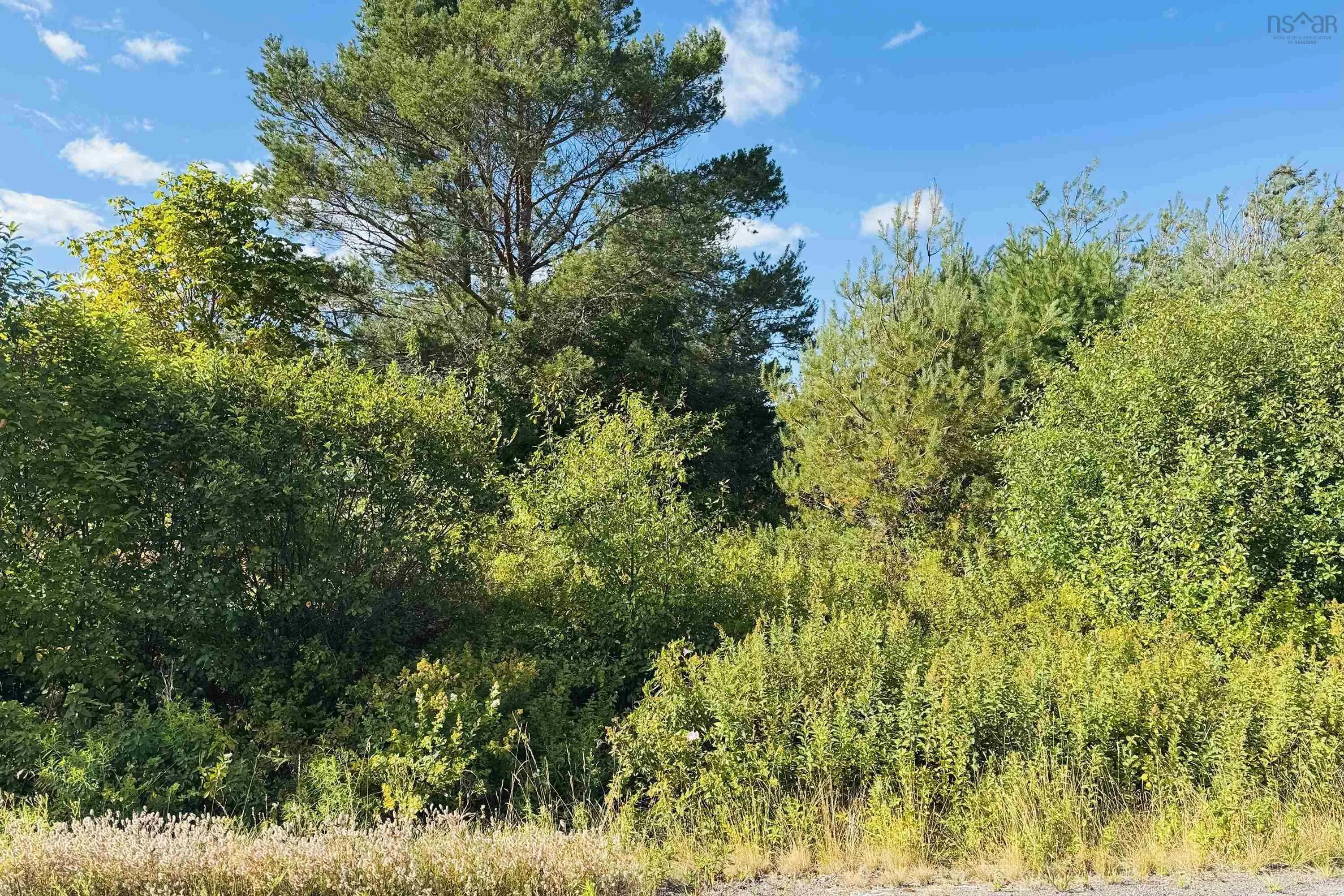 6 Sargent Avenue, Parrsboro, NS B0M 1S0, ,Land,For Sale,Sargent,202520992