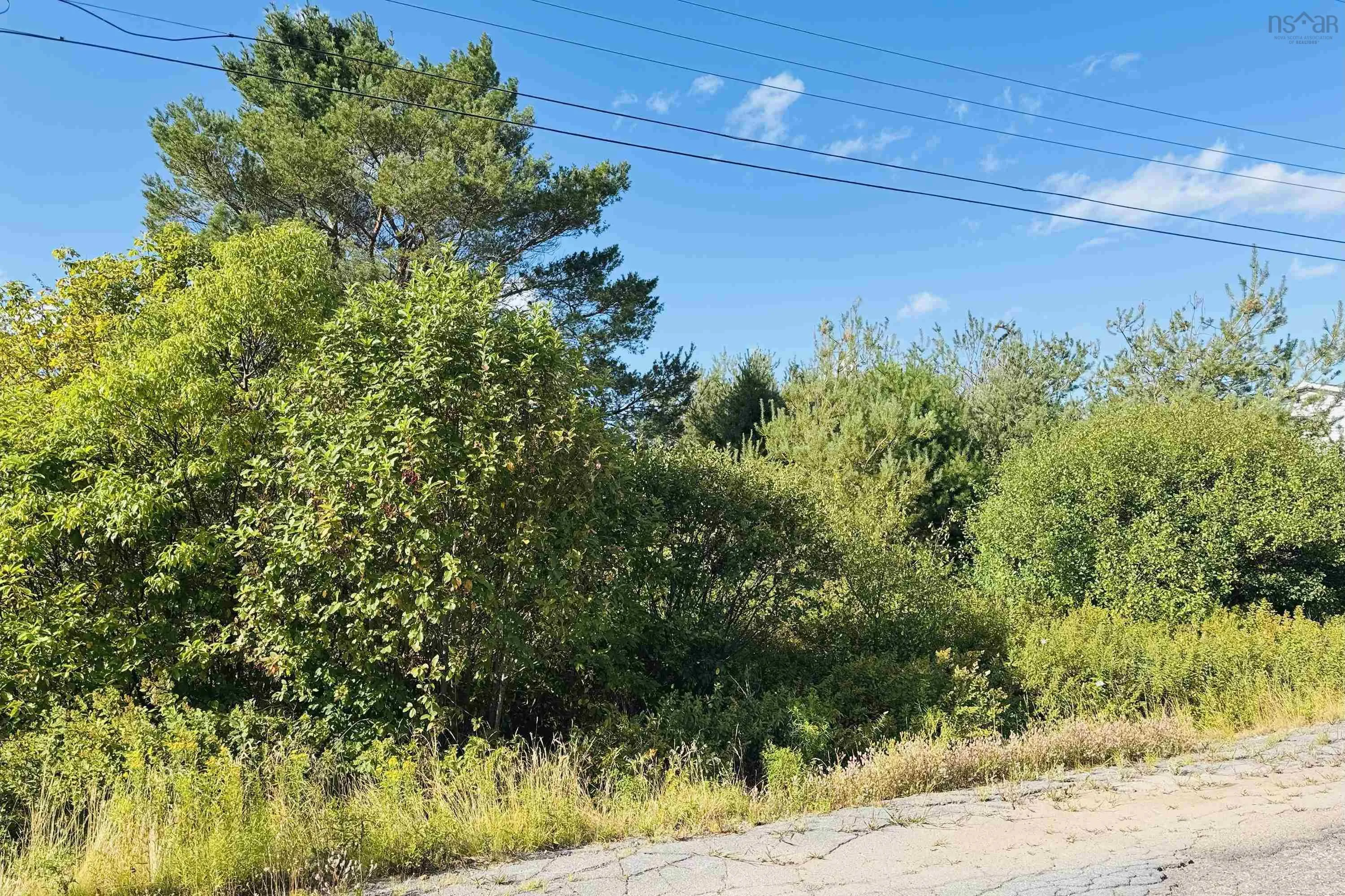 6 Sargent Avenue, Parrsboro, NS B0M 1S0, ,Land,For Sale,Sargent,202520992