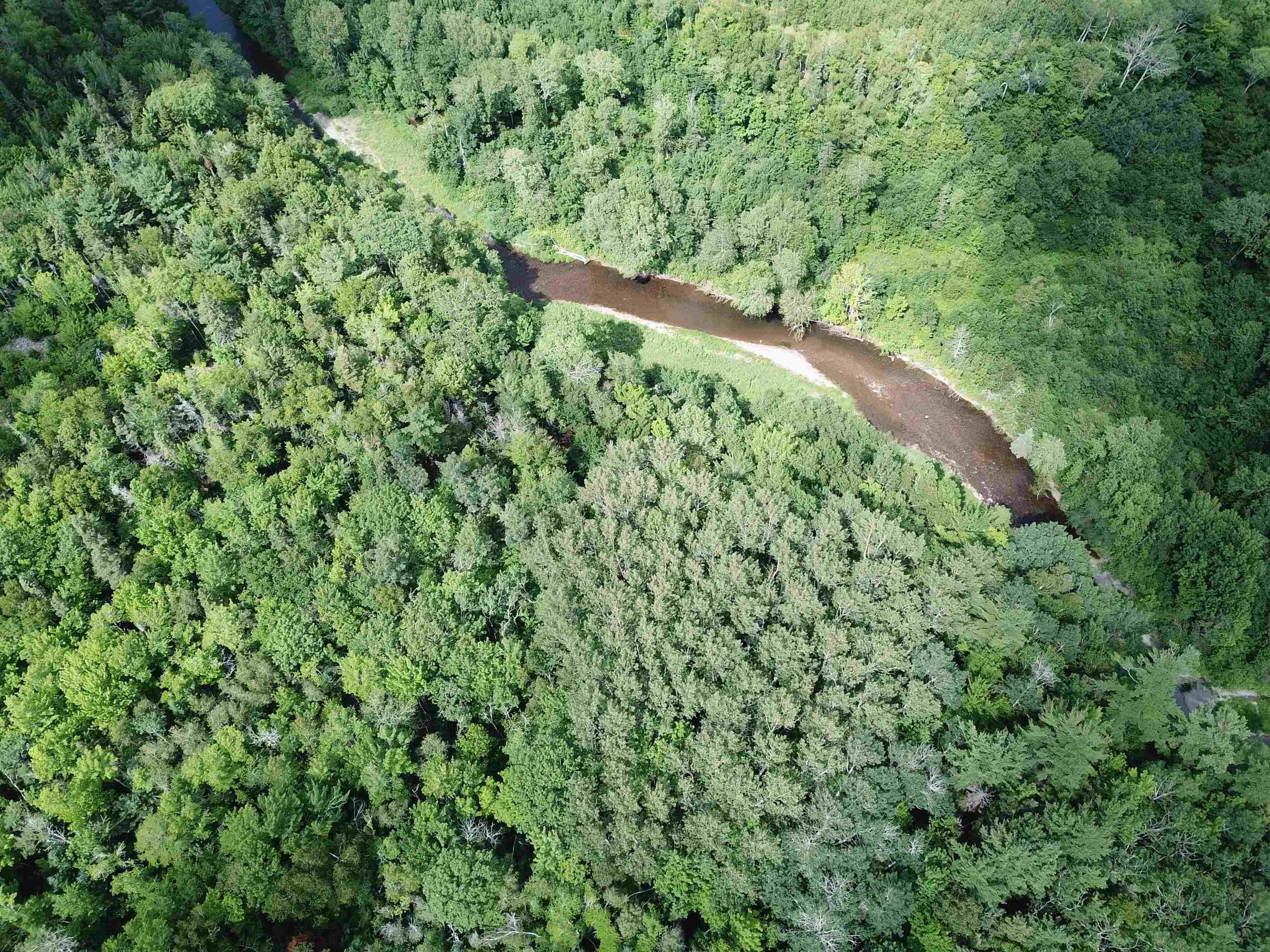 2820 Piedmont Valley Rd (10+/- Acres), Avondale, NS B0K 1A0, ,Land,For Sale,Piedmont Valley Rd (10+/- Acres),202520803