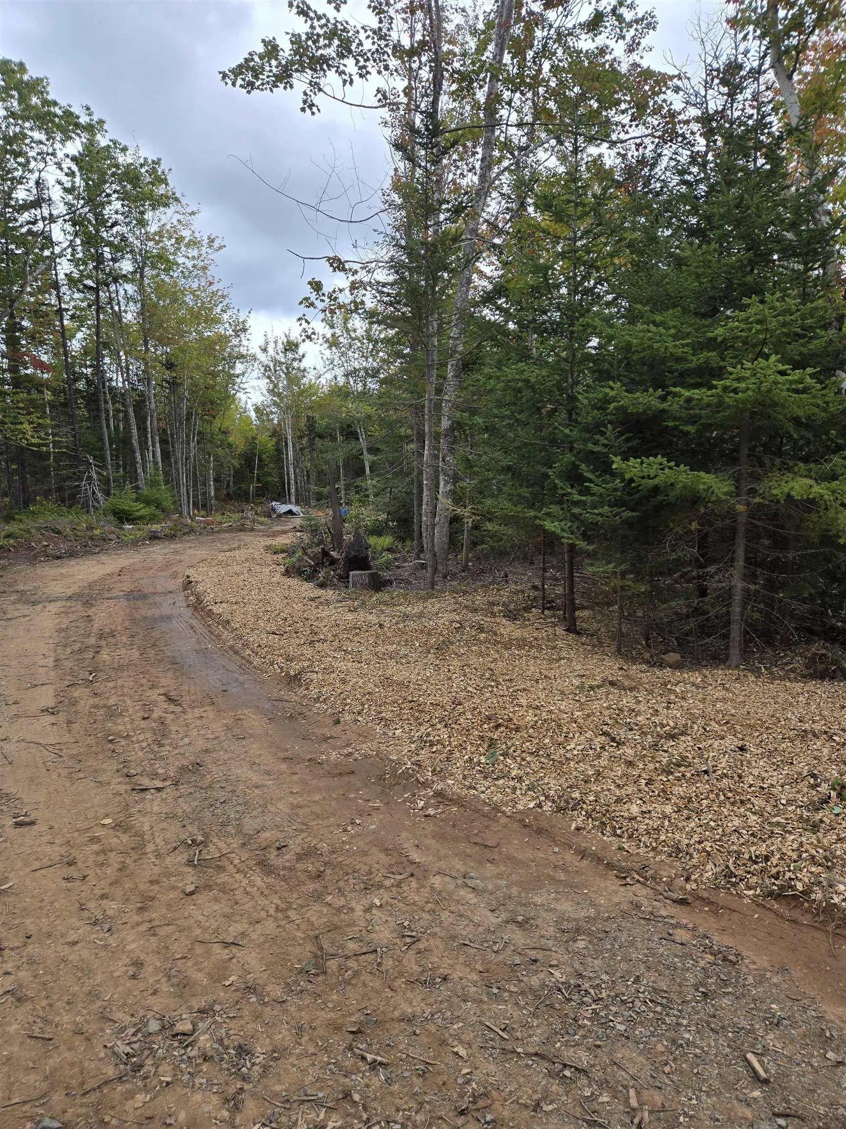 2820 Piedmont Valley Rd (10+/- Acres), Avondale, NS B0K 1A0, ,Land,For Sale,Piedmont Valley Rd (10+/- Acres),202520803