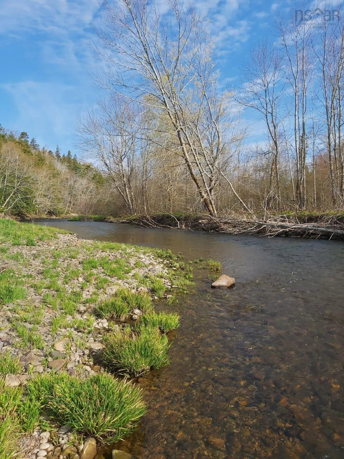 2820 Piedmont Valley Rd (10+/- Acres), Avondale, NS B0K 1A0, ,Land,For Sale,Piedmont Valley Rd (10+/- Acres),202520803