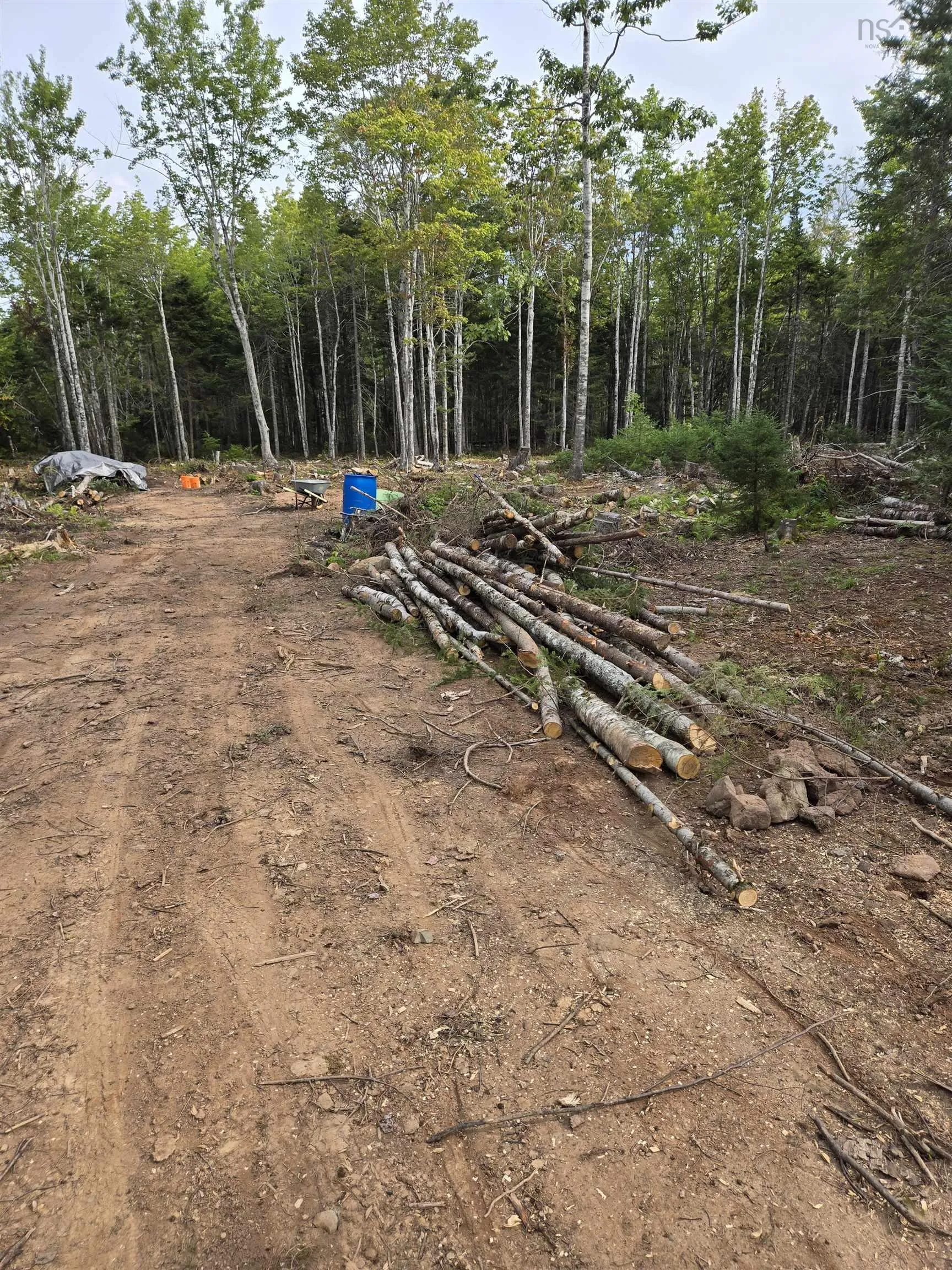 2820 Piedmont Valley Rd (10+/- Acres), Avondale, NS B0K 1A0, ,Land,For Sale,Piedmont Valley Rd (10+/- Acres),202520803