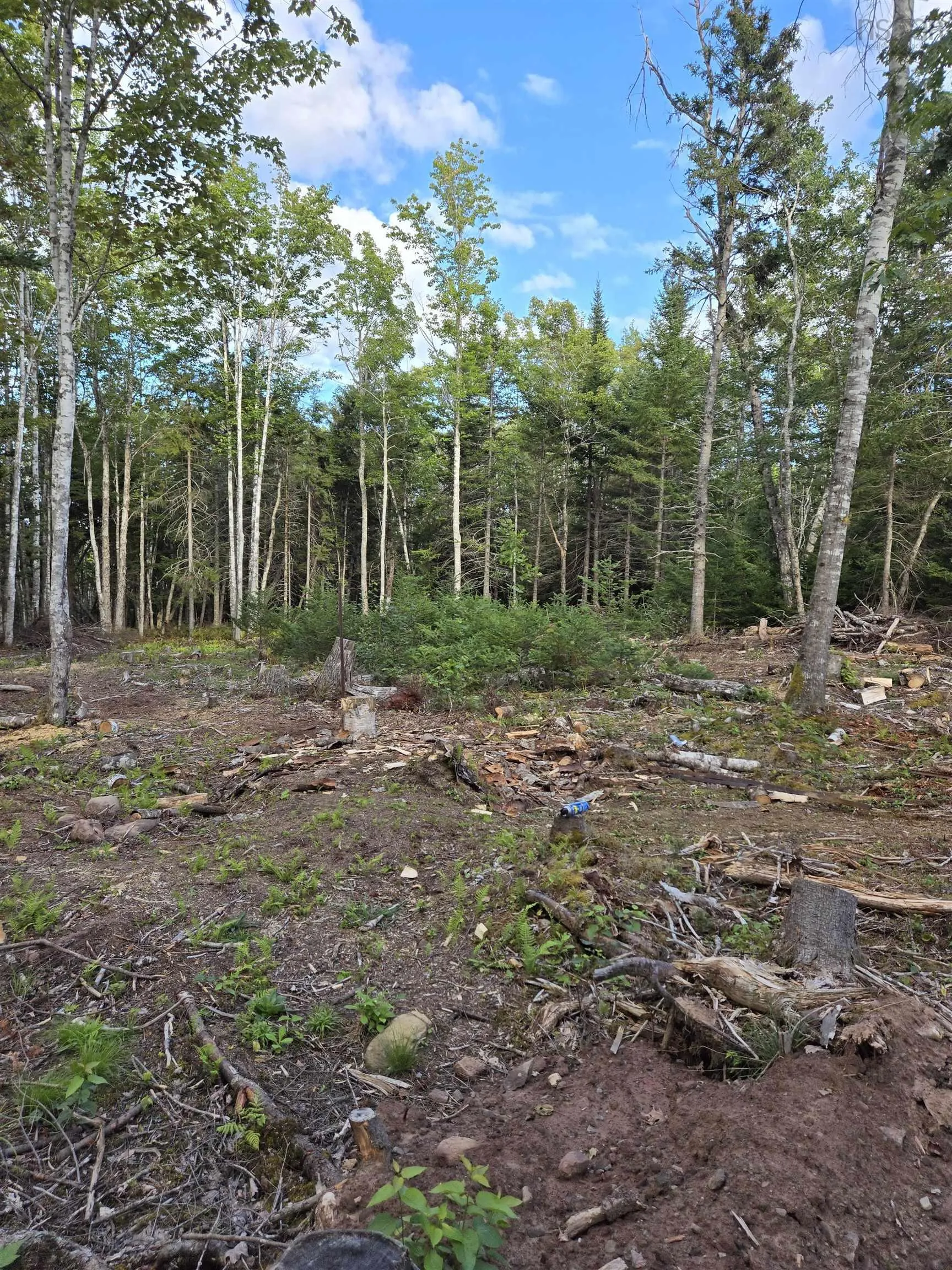 2820 Piedmont Valley Rd (10+/- Acres), Avondale, NS B0K 1A0, ,Land,For Sale,Piedmont Valley Rd (10+/- Acres),202520803
