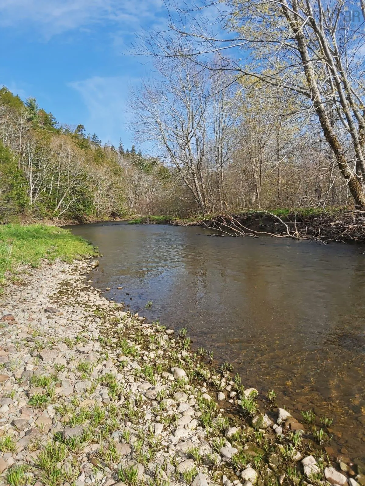 2820 Piedmont Valley Rd (10+/- Acres), Avondale, NS B0K 1A0, ,Land,For Sale,Piedmont Valley Rd (10+/- Acres),202520803