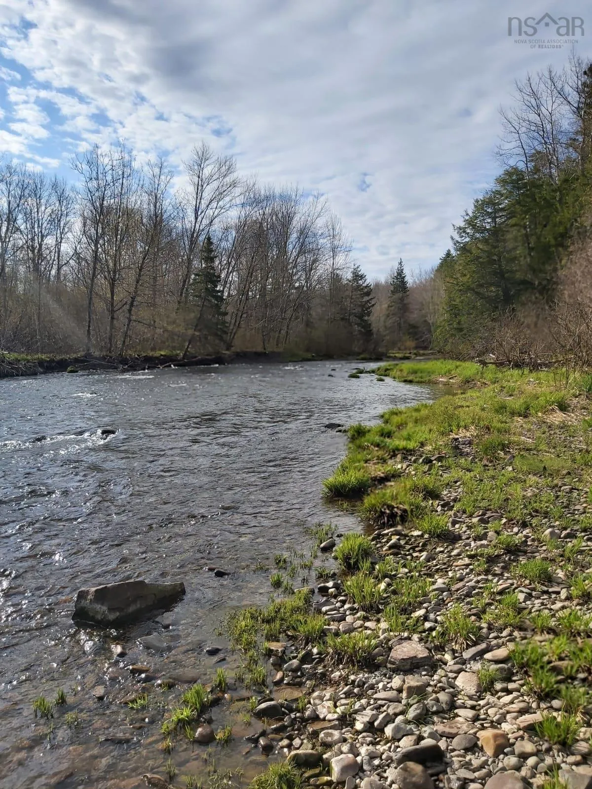 2820 Piedmont Valley Rd (10+/- Acres), Avondale, NS B0K 1A0, ,Land,For Sale,Piedmont Valley Rd (10+/- Acres),202520803