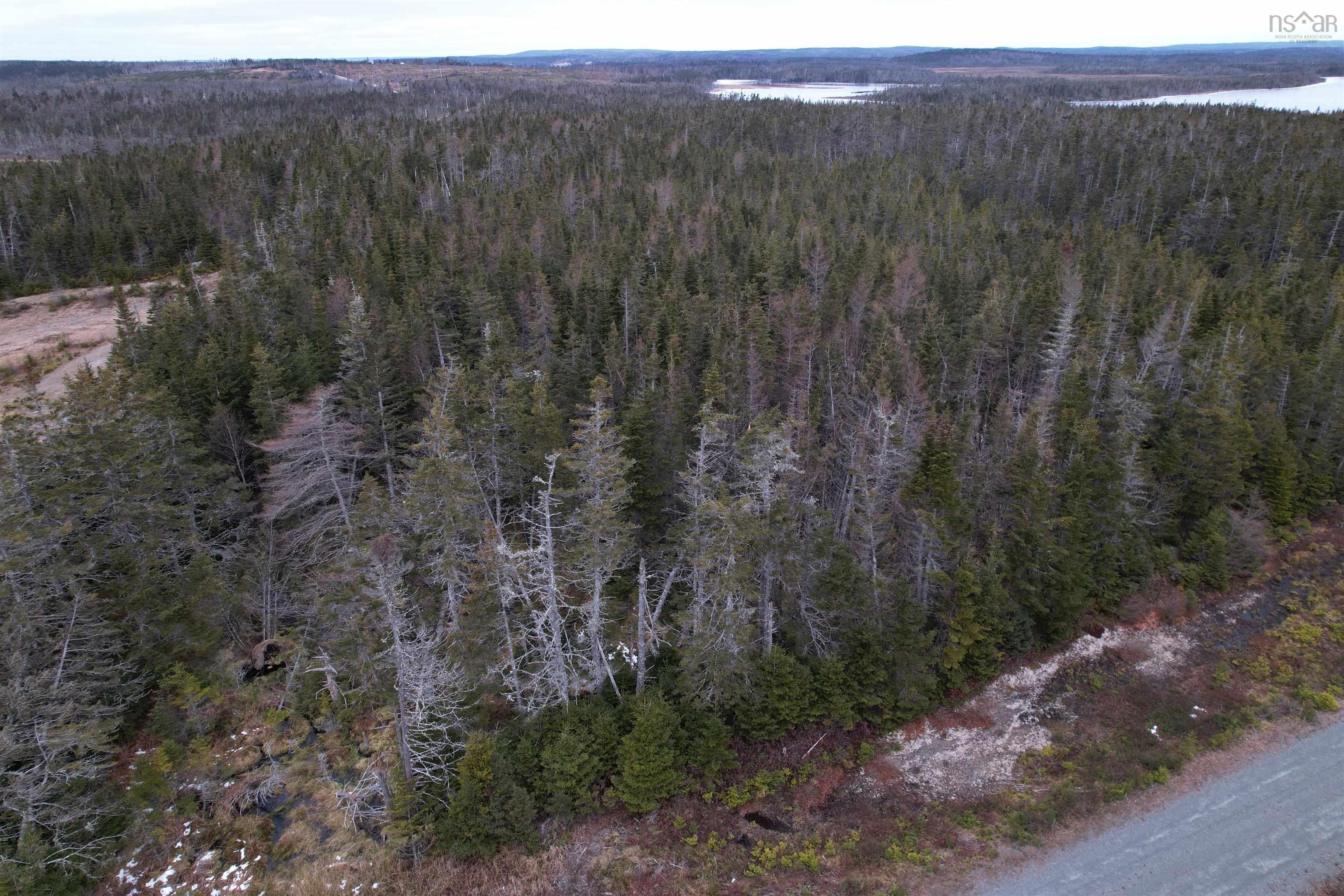 22 Alyssa Lane, Belfry Lake NS B1K 0C7, ,Land,For Sale,Alyssa,202400770