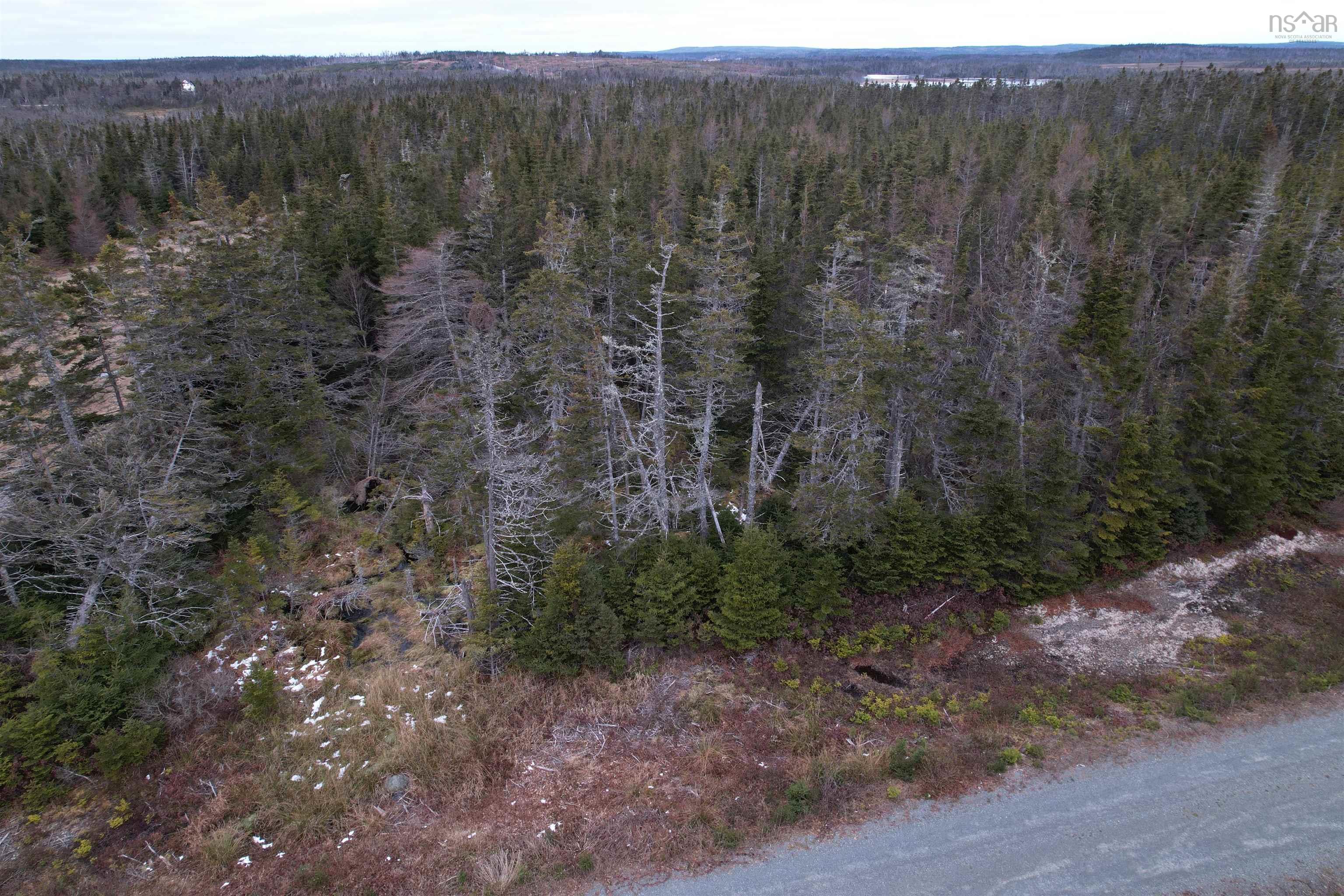 22 Alyssa Lane, Belfry Lake NS B1K 0C7, ,Land,For Sale,Alyssa,202400770