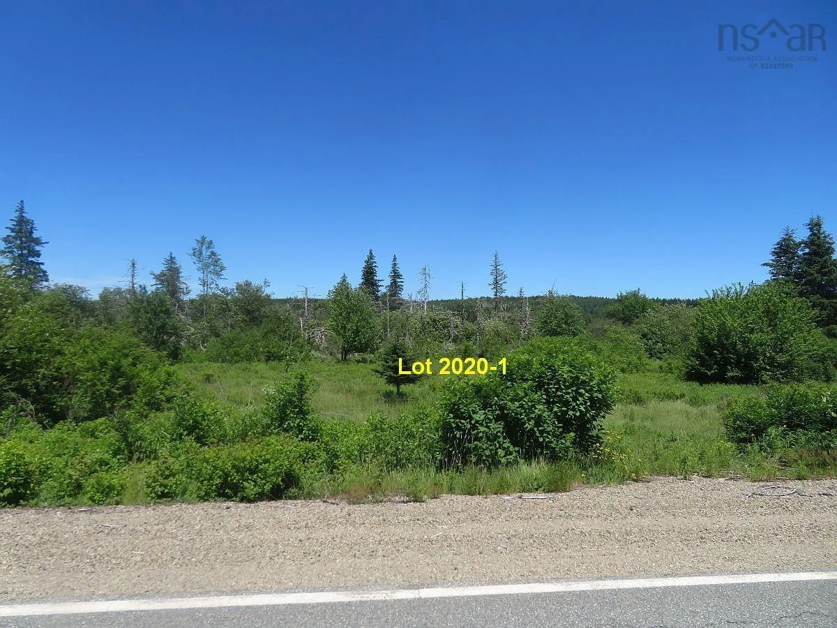 4.8 Acres Salmon River Lake Road, Ogden Ns B0h 1j0, ,Land,For Sale,Salmon River Lake,202407279