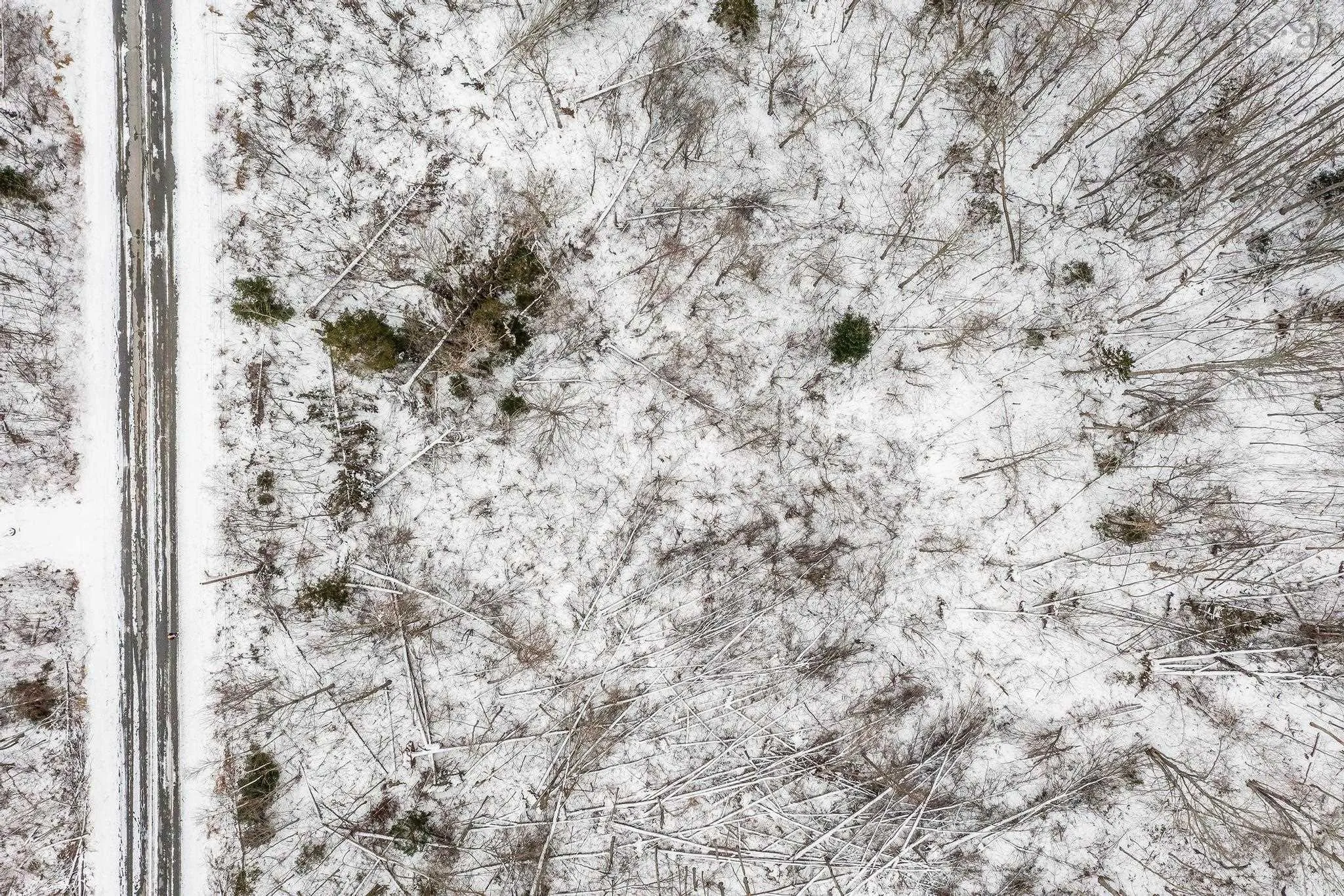 Lot 4 Quarry Brook Drive, Durham Ns B0k 1h0, ,Land,For Sale,Quarry Brook,202405025