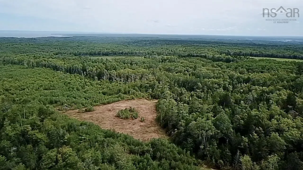 Peck Meadow Road Lot 10, Greenfield, NS B4P 2R1, ,Land,For Sale,Peck Meadow,202519093