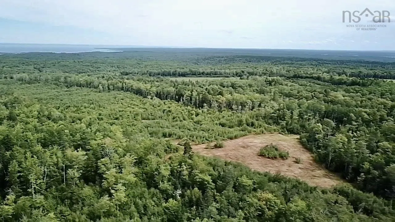 Peck Meadow Road Lot 10, Greenfield, NS B4P 2R1, ,Land,For Sale,Peck Meadow,202519093