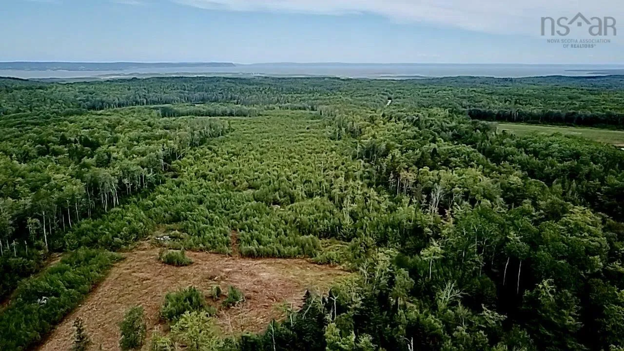 Peck Meadow Road Lot 10, Greenfield, NS B4P 2R1, ,Land,For Sale,Peck Meadow,202519093