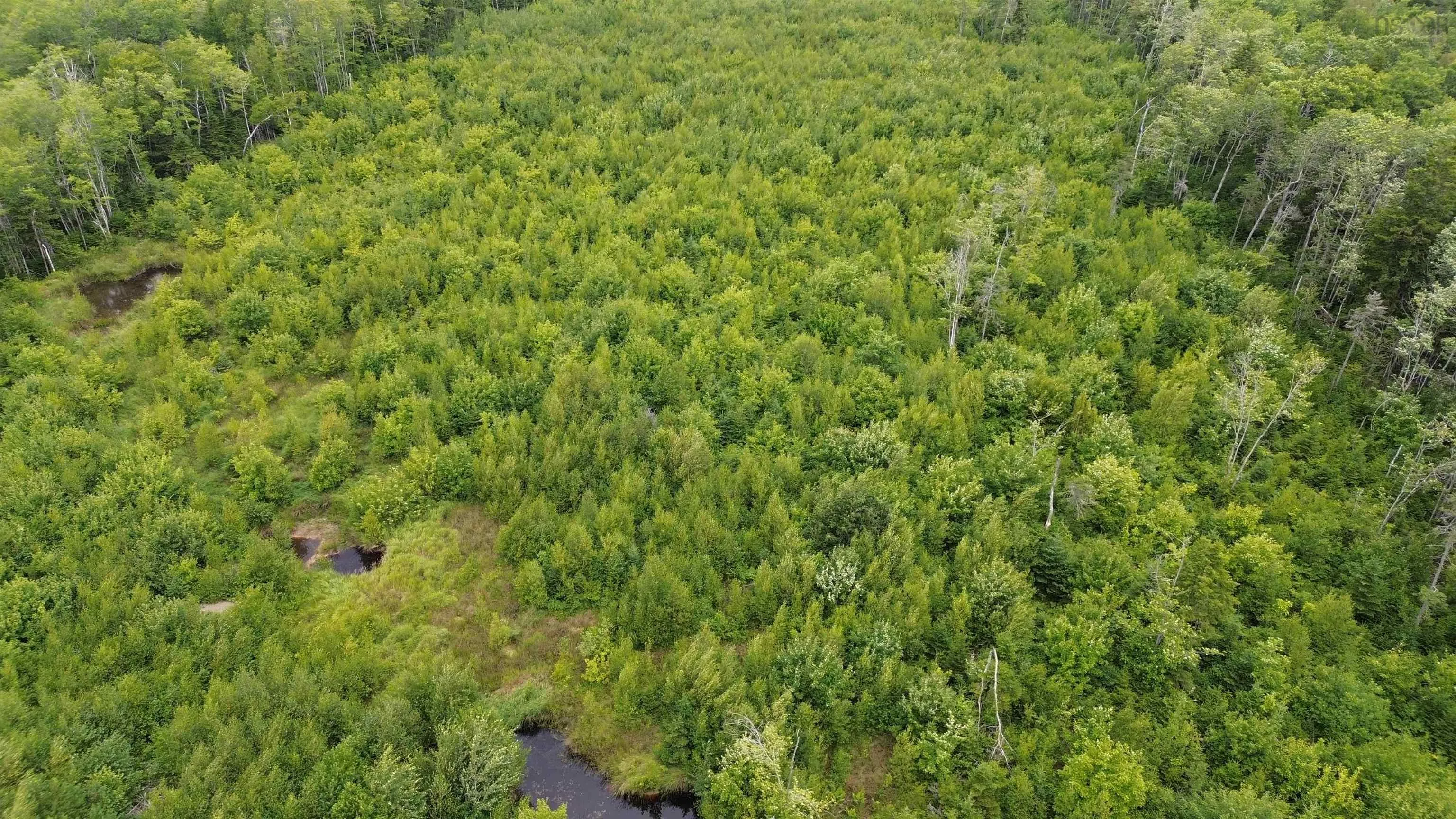 Peck Meadow Road Lot 10, Greenfield, NS B4P 2R1, ,Land,For Sale,Peck Meadow,202519093
