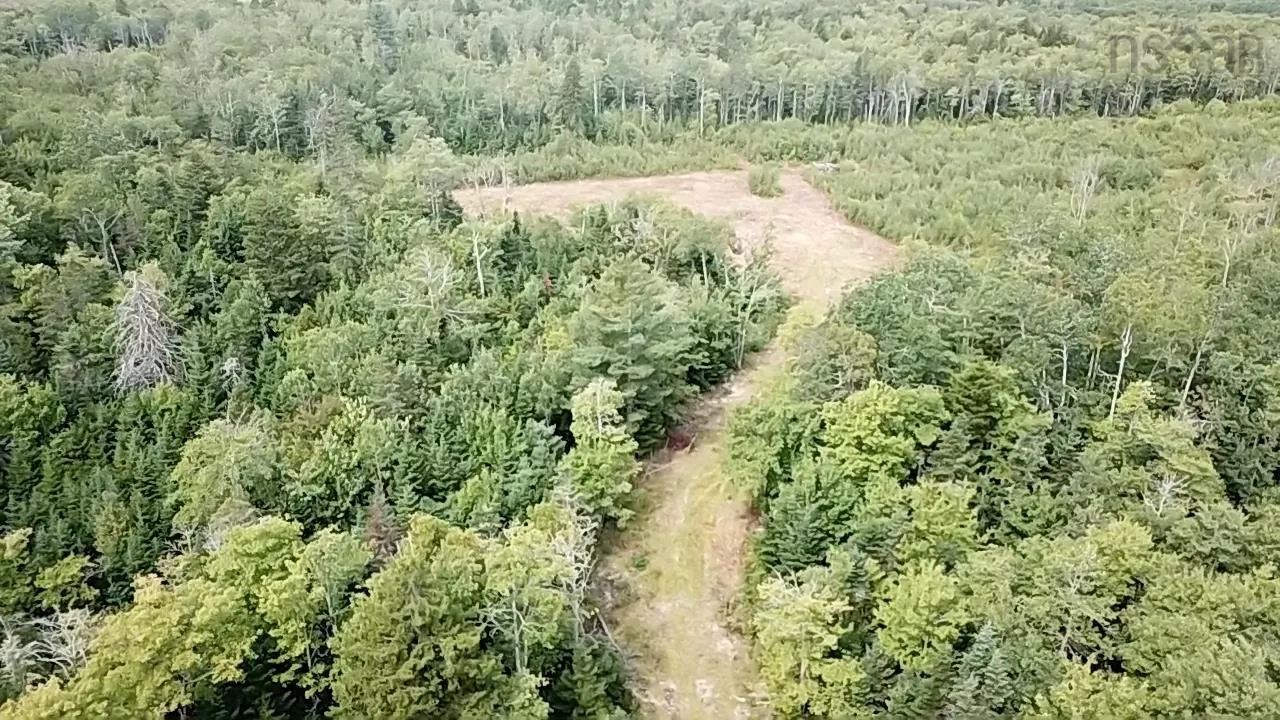 Peck Meadow Road Lot 10, Greenfield, NS B4P 2R1, ,Land,For Sale,Peck Meadow,202519093