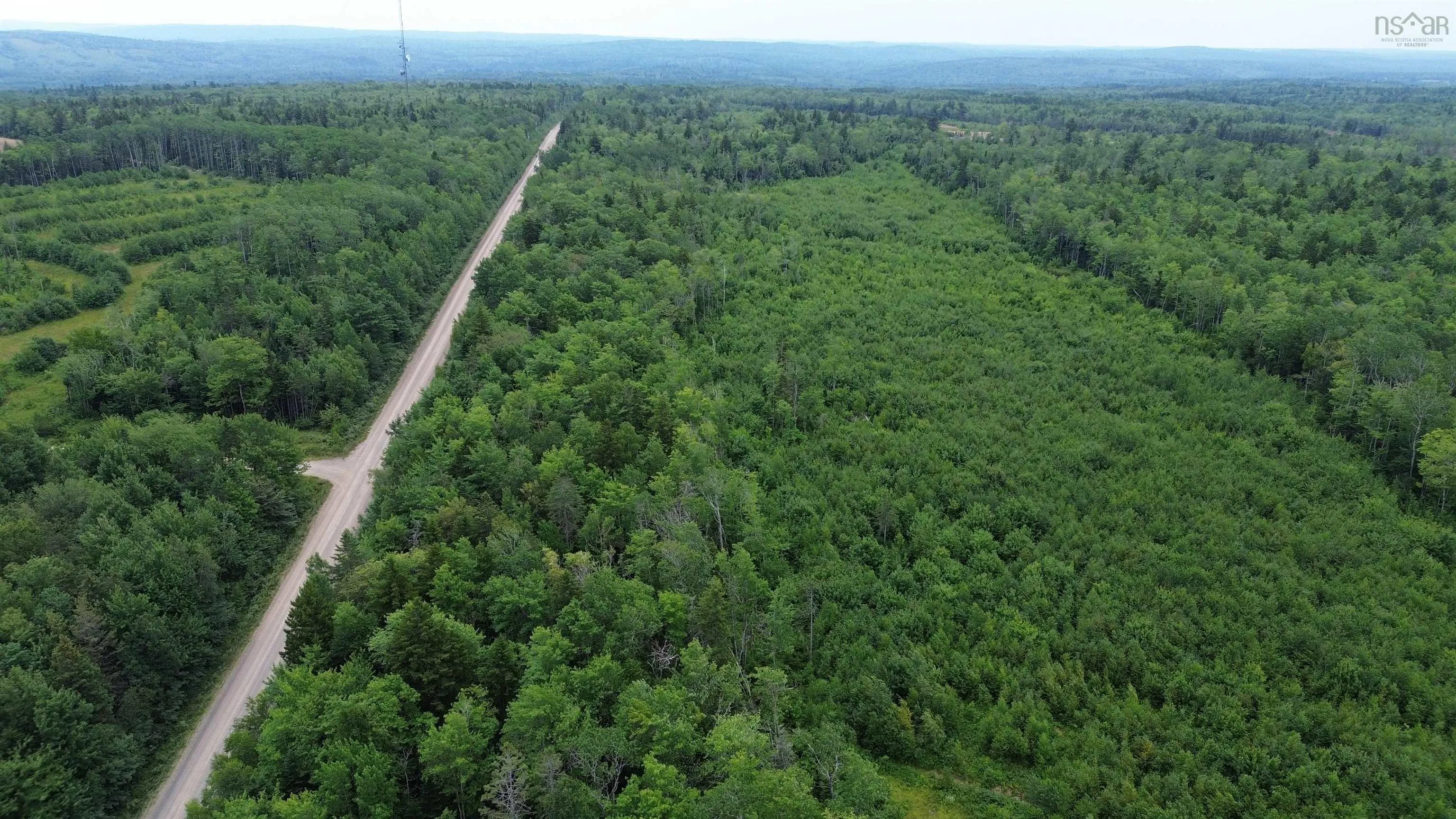Peck Meadow Road Lot 10, Greenfield, NS B4P 2R1, ,Land,For Sale,Peck Meadow,202519093