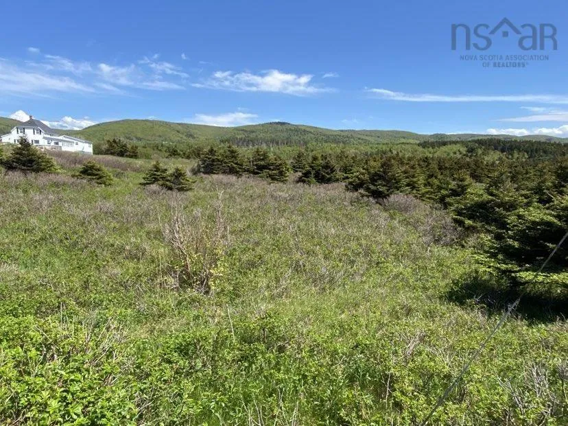 Cabot Trail, Cap Le Moine, NS B0E 3A0, ,Land,For Sale,Cabot,202520979