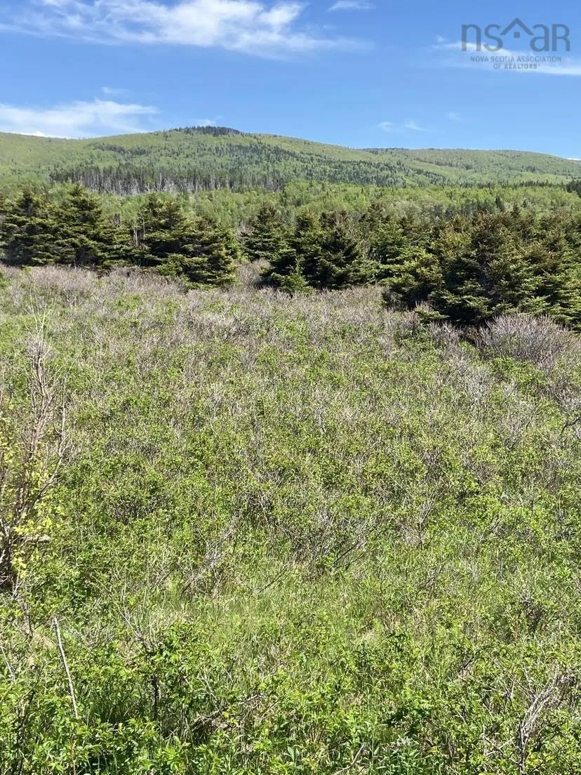 Cabot Trail, Cap Le Moine, NS B0E 3A0, ,Land,For Sale,Cabot,202520979