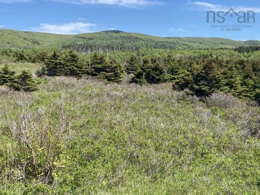 Cabot Trail, Cap Le Moine, NS B0E 3A0, ,Land,For Sale,Cabot,202520979