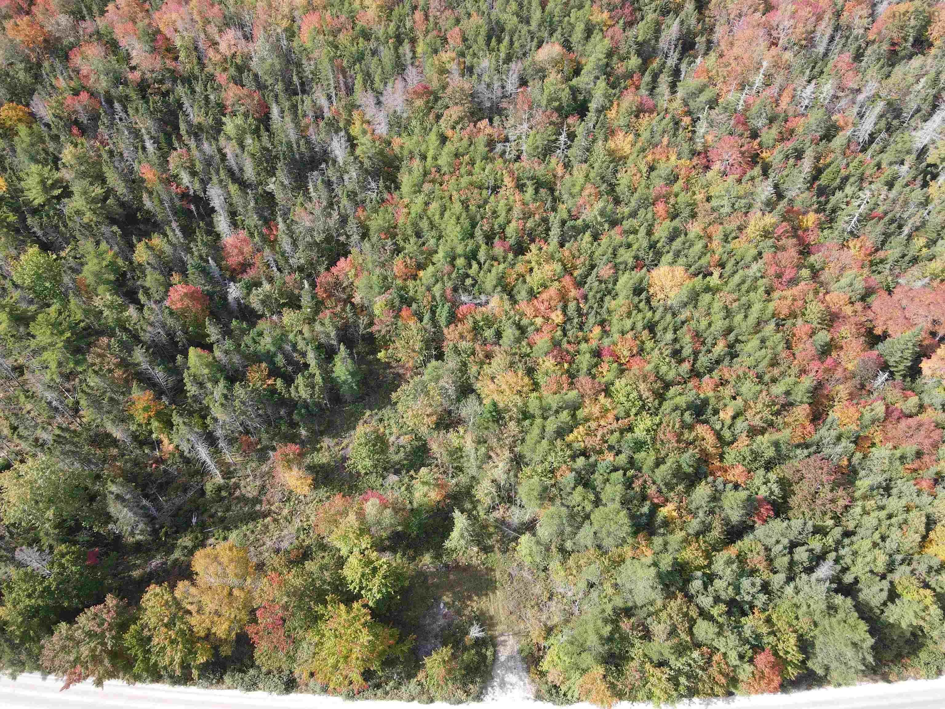 Lot T-1 Upper Clyde Road, Welshtown Ns B0t 1w0, ,Land,For Sale,Upper Clyde,202423150