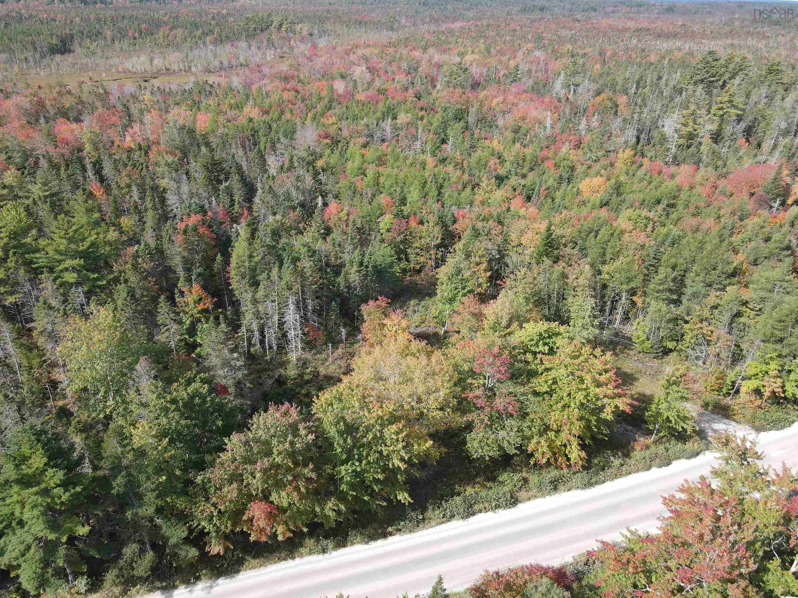 Lot T-1 Upper Clyde Road, Welshtown Ns B0t 1w0, ,Land,For Sale,Upper Clyde,202423150