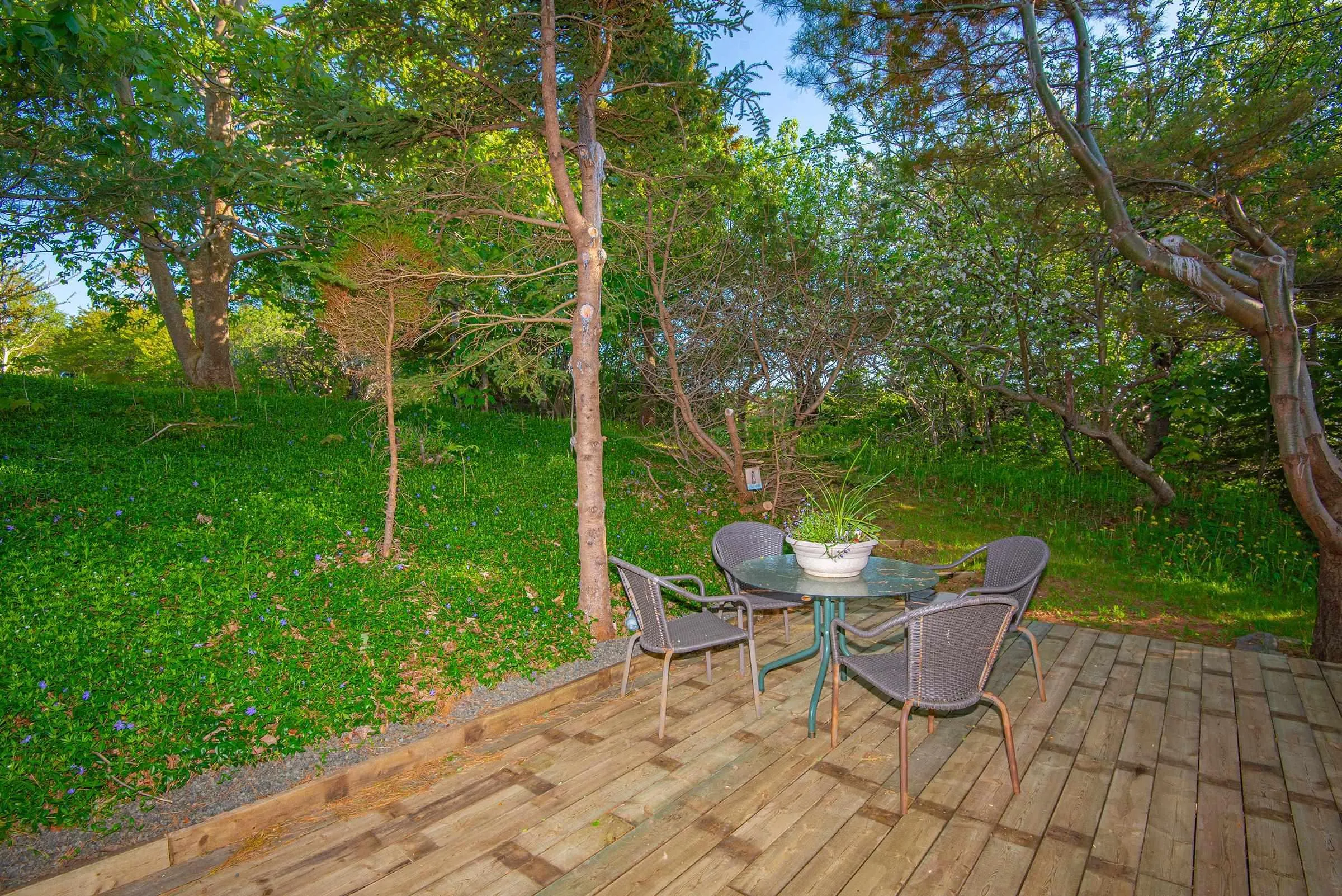 7215 Highway 101, Plympton, NS B0W 2R0, 3 Bedrooms Bedrooms, ,2 BathroomsBathrooms,Residential,For Sale,Highway 101,202512878
