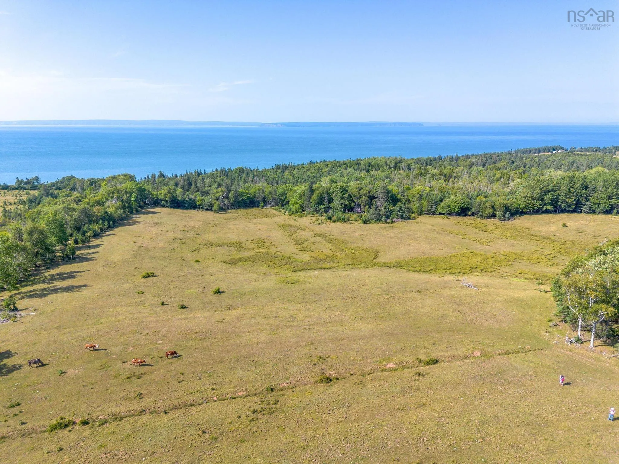Lot Black Rock Road & Russia Road Road, Black Rock, NS B0P 1V0, ,Land,For Sale,Black Rock Road & Russia,202518926