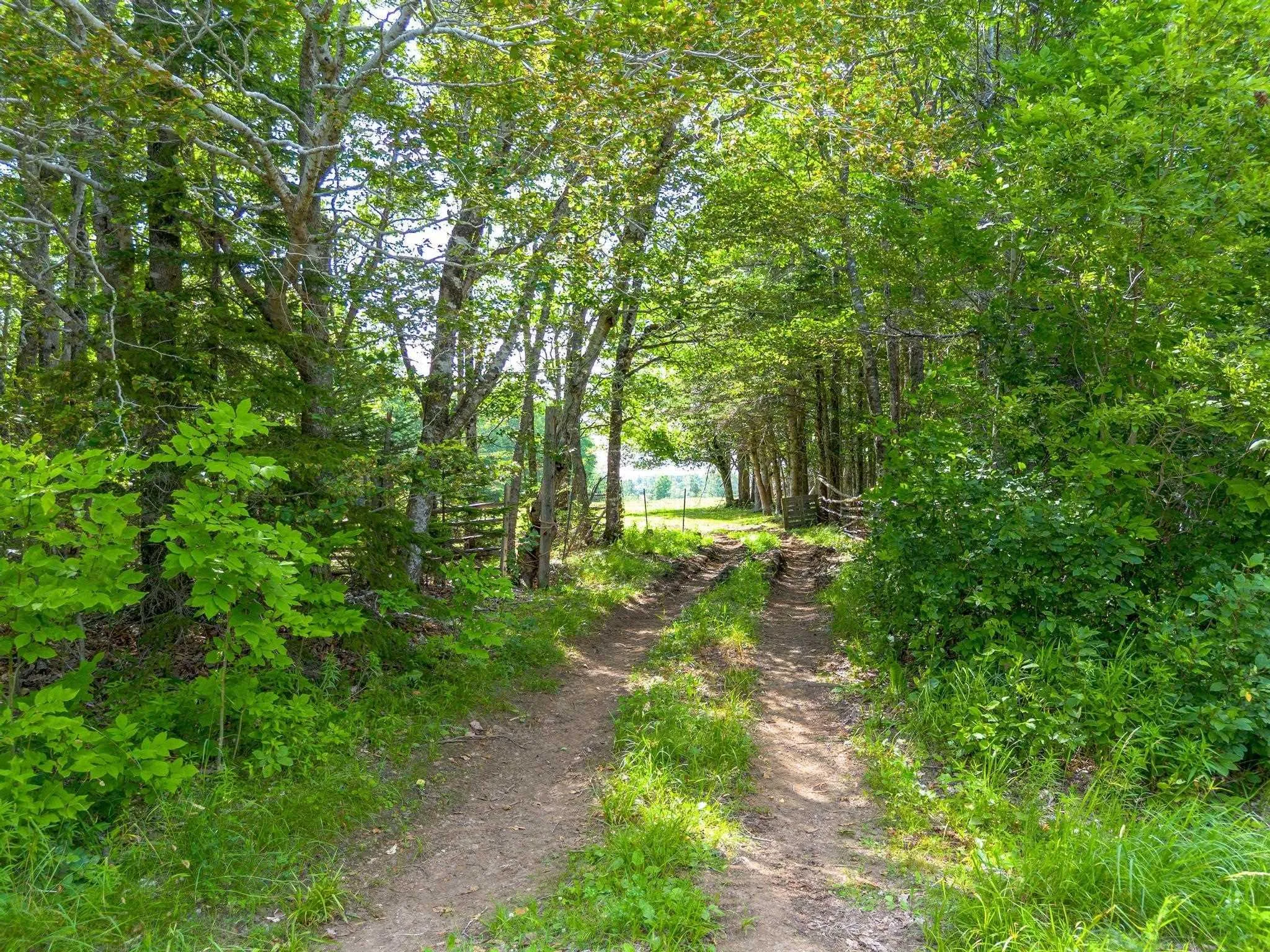 Lot Black Rock Road & Russia Road Road, Black Rock, NS B0P 1V0, ,Land,For Sale,Black Rock Road & Russia,202518926