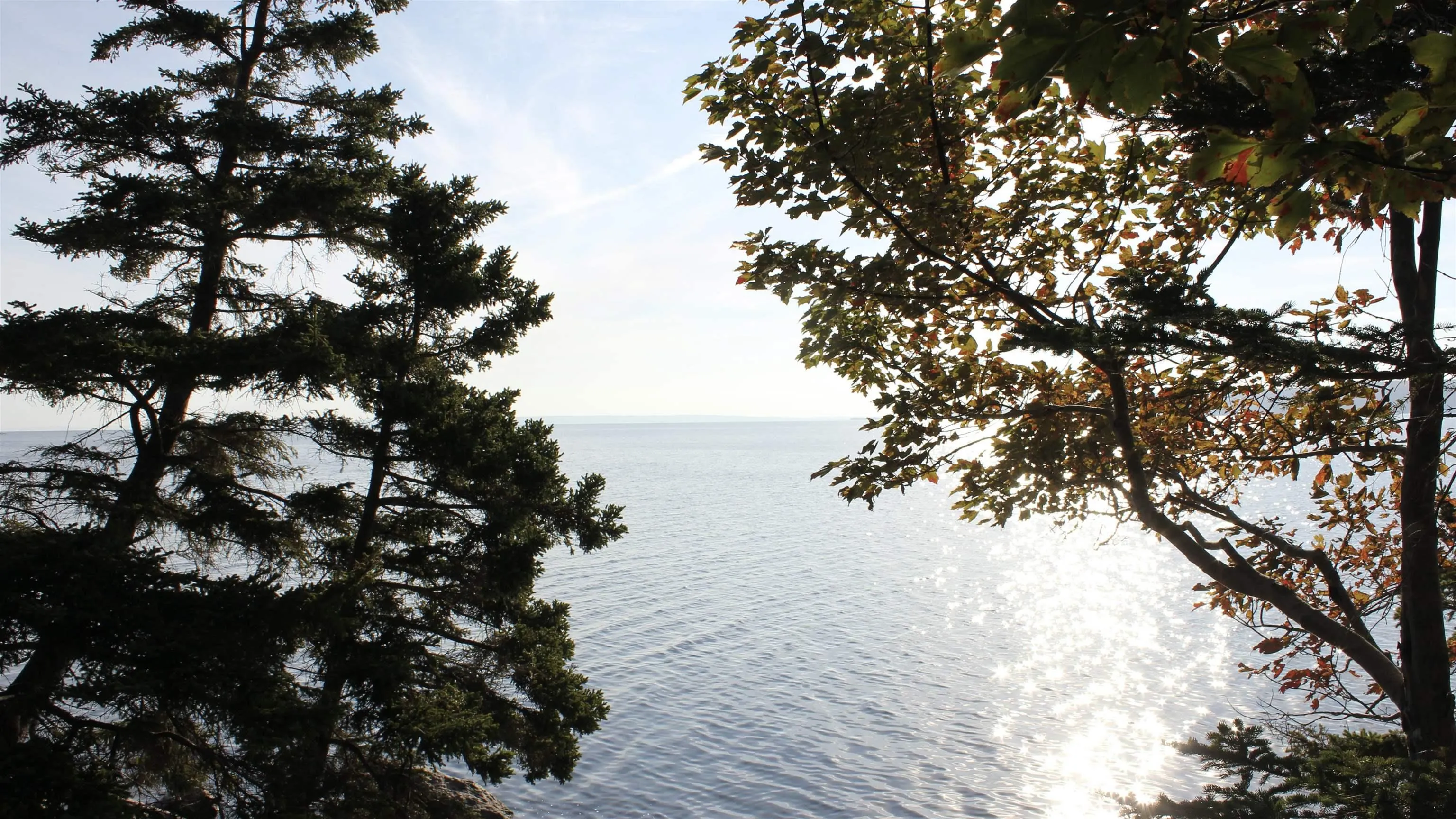 Marble Mountain Road, Marble Mountain Ns B0e 3k0, ,Land,For Sale,Marble Mountain,202314867