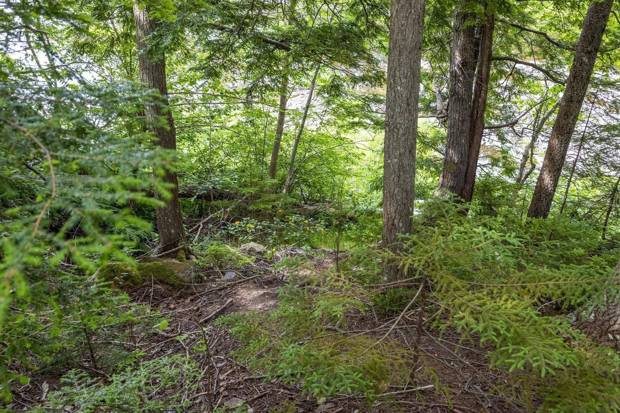 River Road, Churchville, NS B2H 5C5, ,Land,For Sale,River,202516690