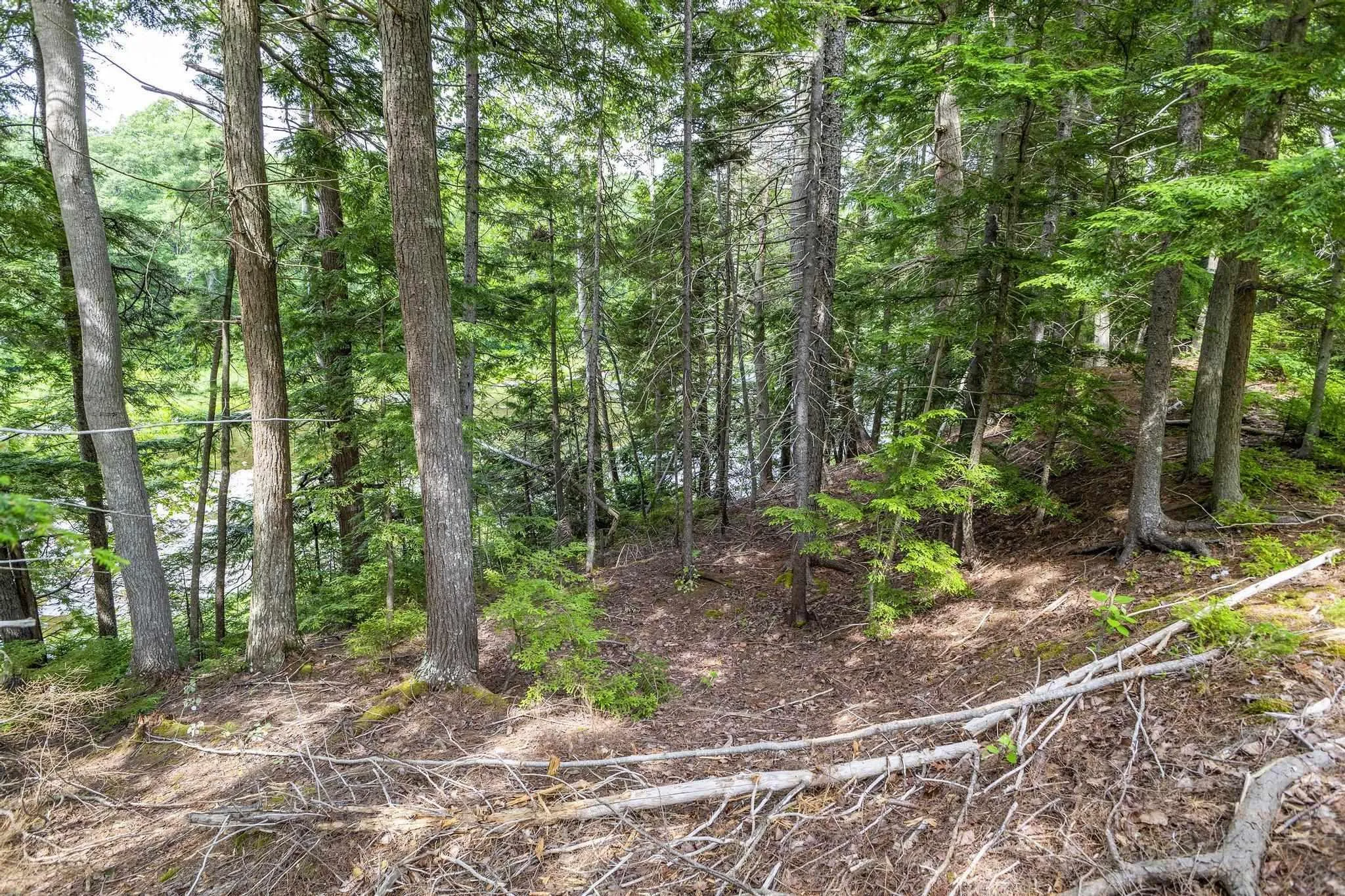 River Road, Churchville, NS B2H 5C5, ,Land,For Sale,River,202516690