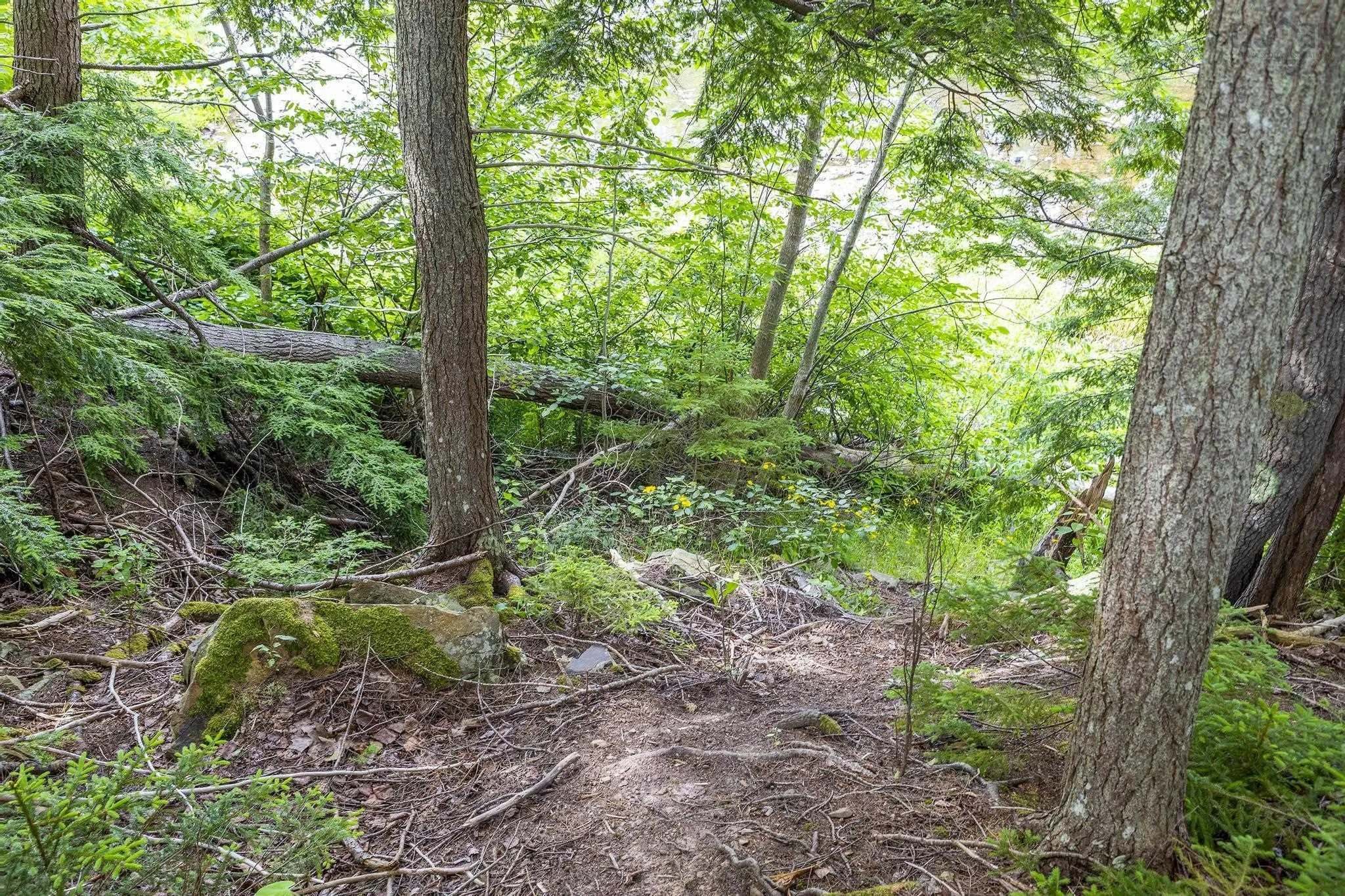 River Road, Churchville, NS B2H 5C5, ,Land,For Sale,River,202516690