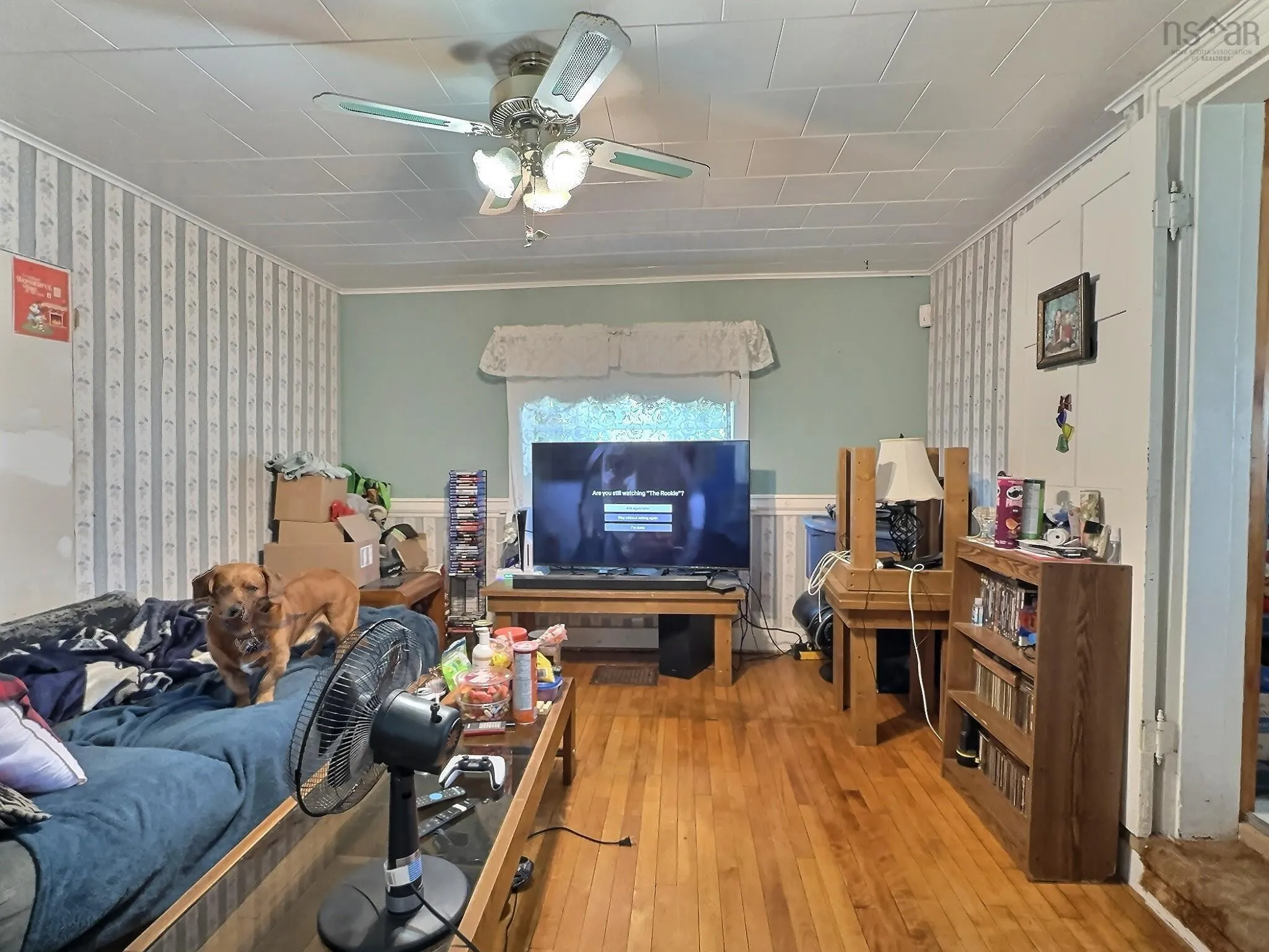 5588 204 Highway, Oxford, NS B0M 1P0, 3 Bedrooms Bedrooms, ,2 BathroomsBathrooms,Residential,For Sale,204,202518956
