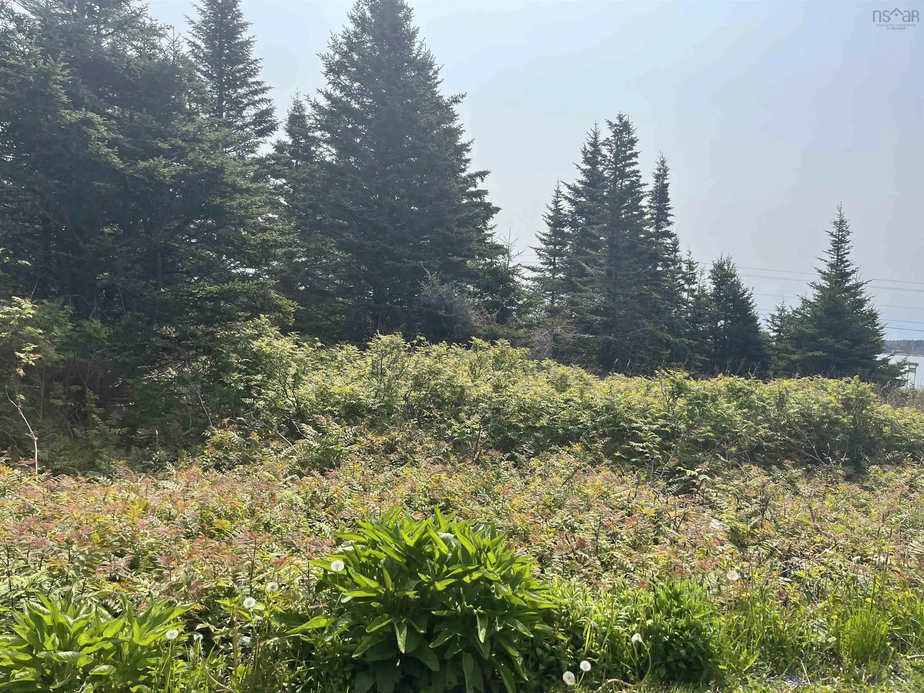 94 Shiers Road, Harrigan Cove, NS B0J 2K0, ,Land,For Sale,Shiers,202522013