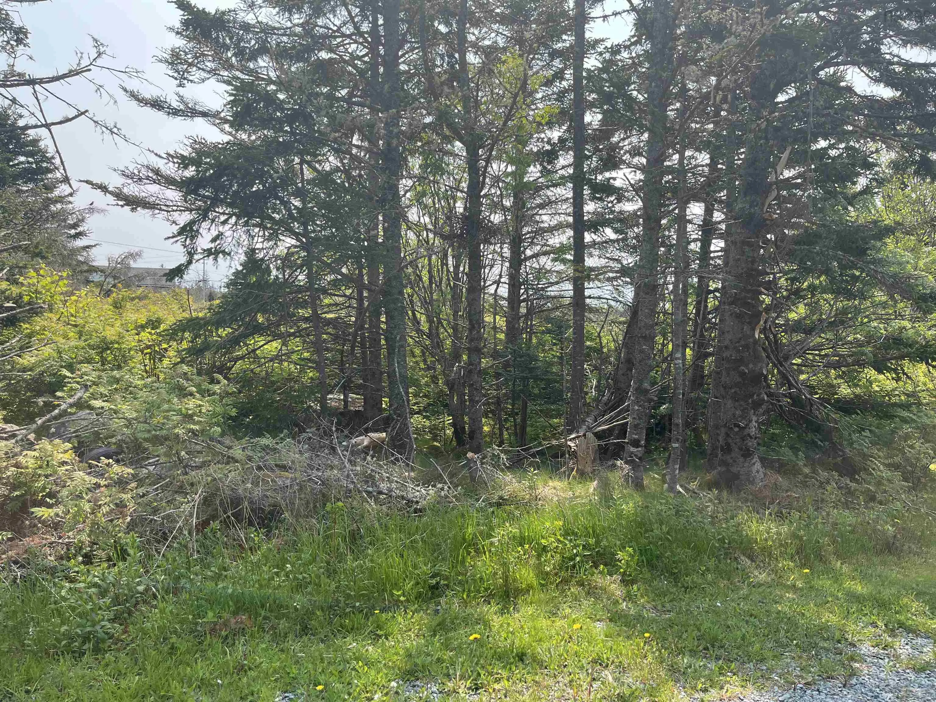 94 Shiers Road, Harrigan Cove, NS B0J 2K0, ,Land,For Sale,Shiers,202522013