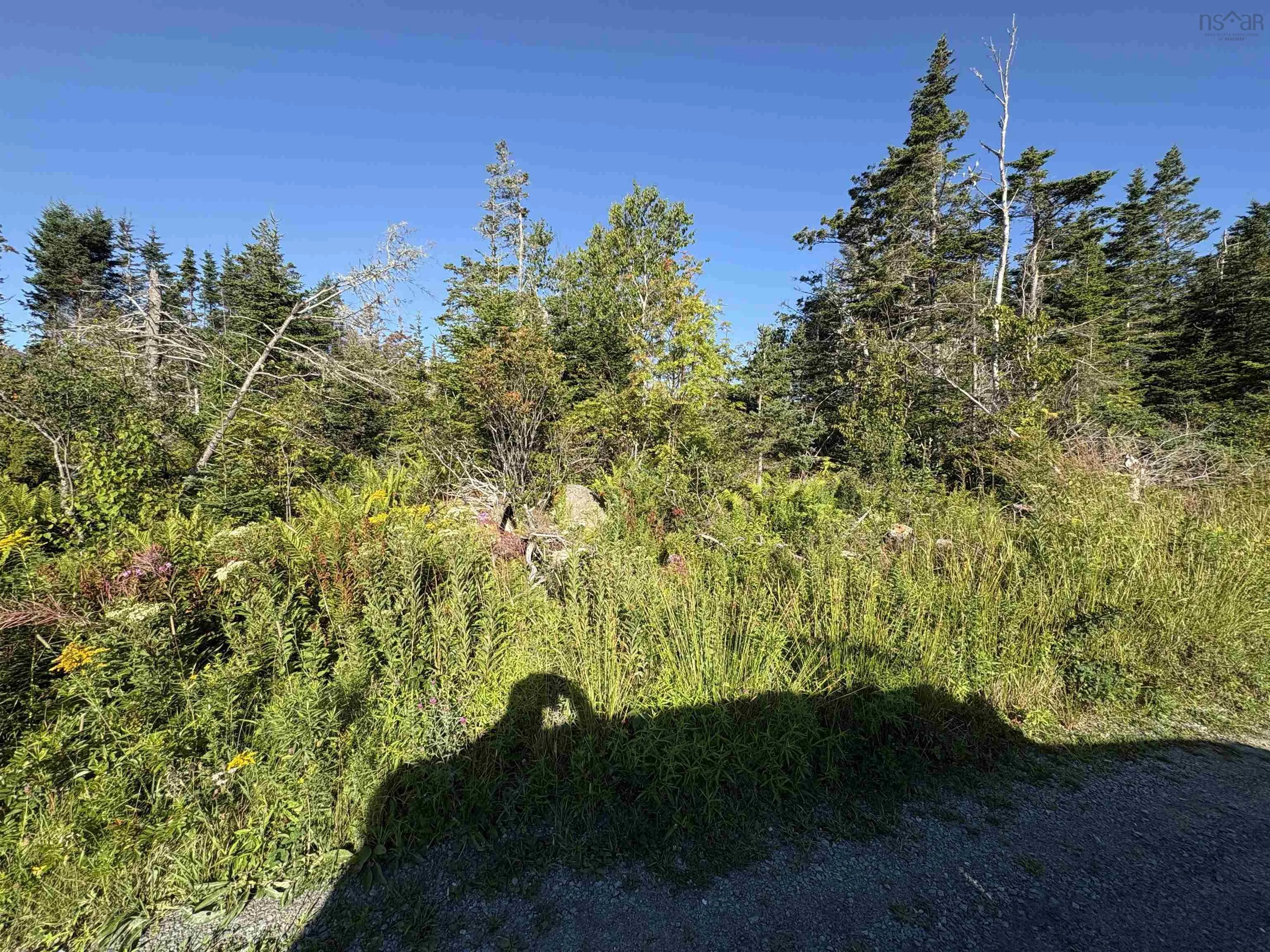 94 Shiers Road, Harrigan Cove, NS B0J 2K0, ,Land,For Sale,Shiers,202522013