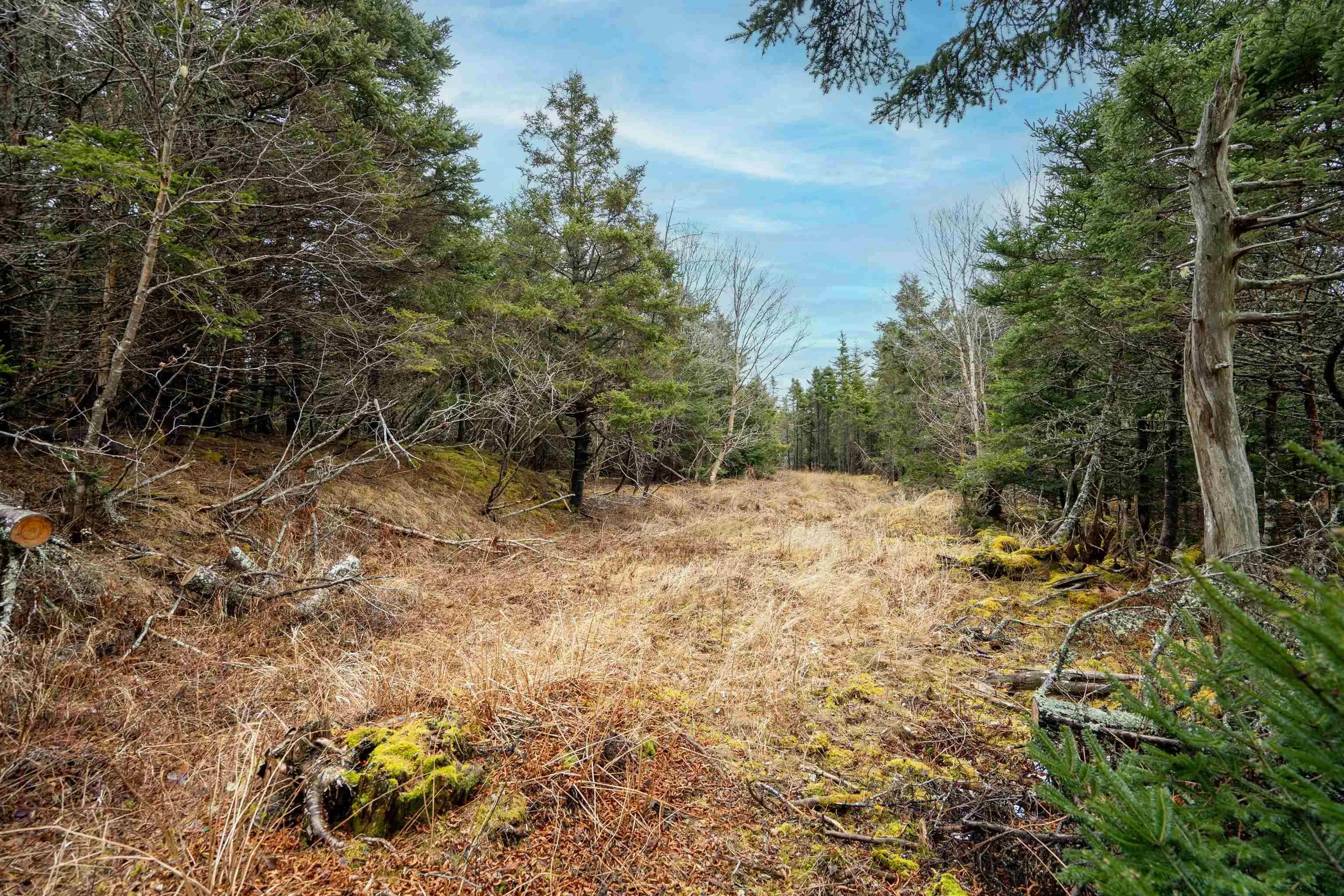 Wine Harbour Village Road Lot 4, Wine Harbour Ns B0j 3c0, ,Land,For Sale,Wine Harbour Village,202507090